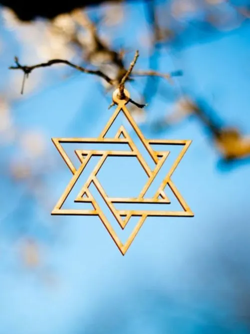 A St David's Star decoration hanging in a tree at a barmitzvah