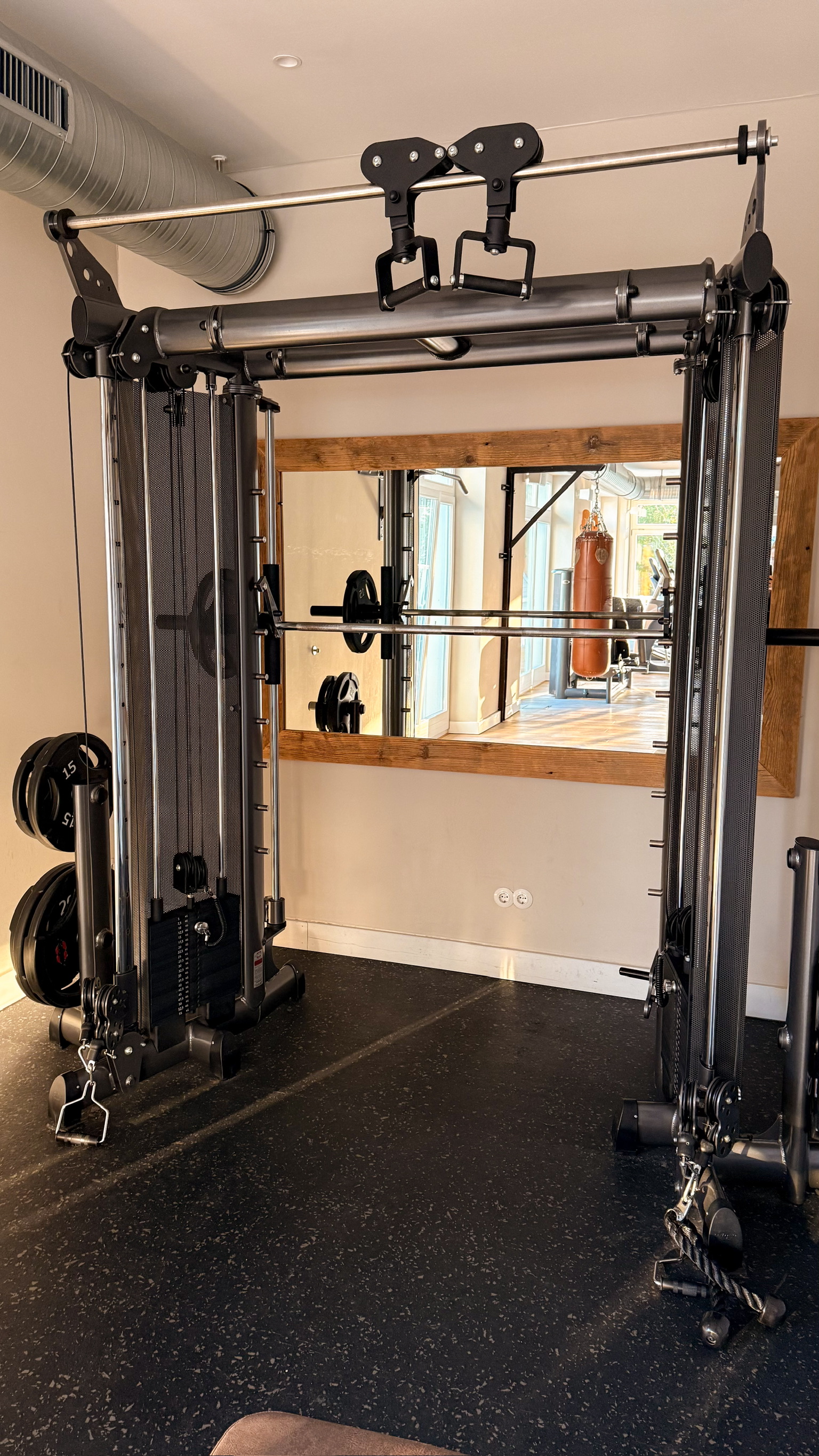 gym dual cable pulley