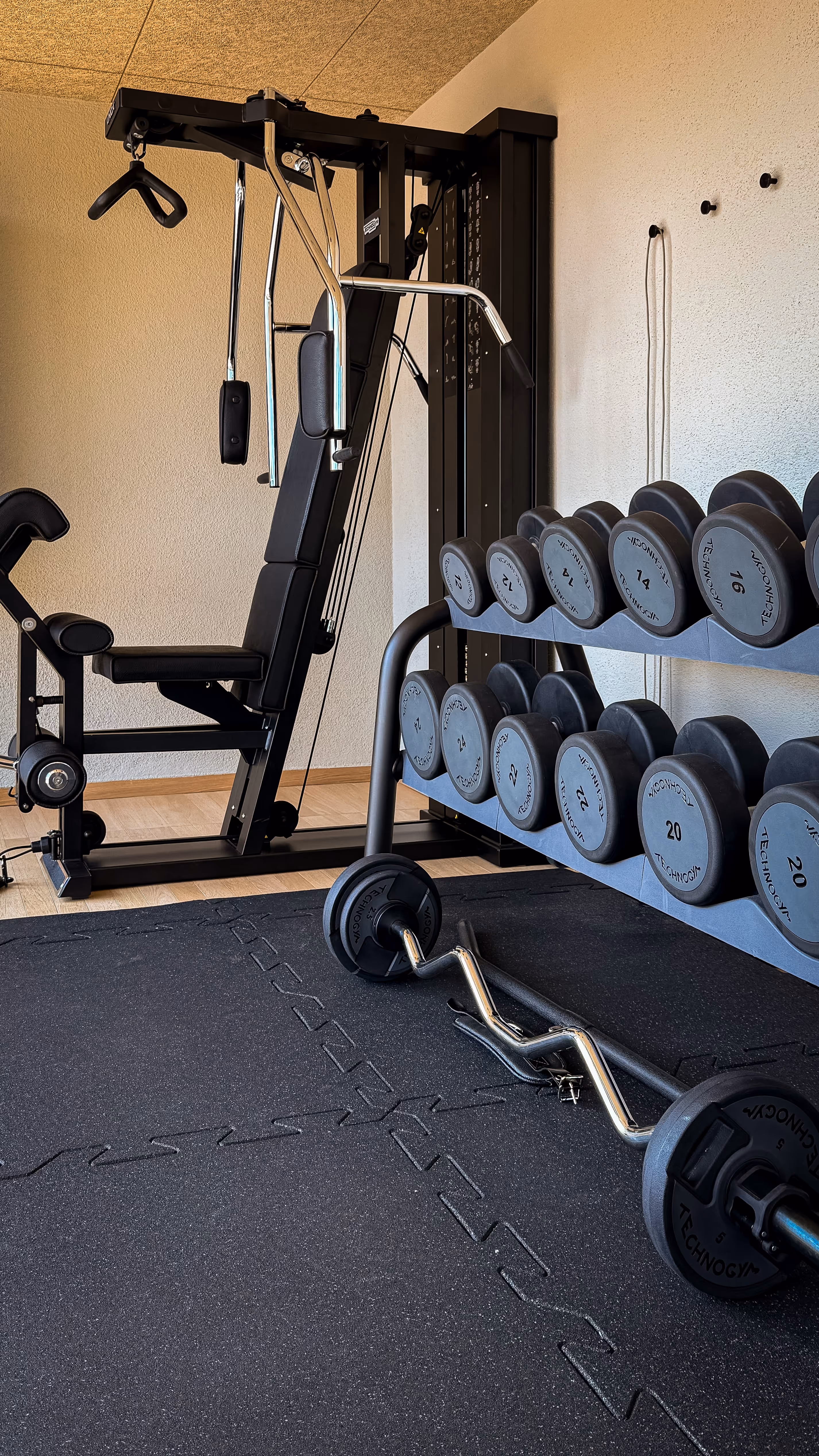 Gym weights