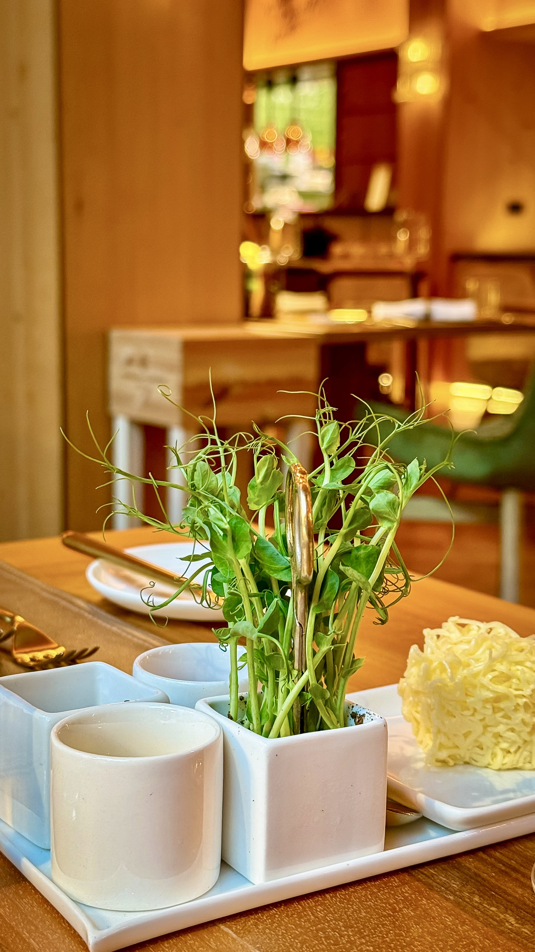 Clear natural pond with plants and a wooden cabin in the background, snow-capped mountains under a blue sky.