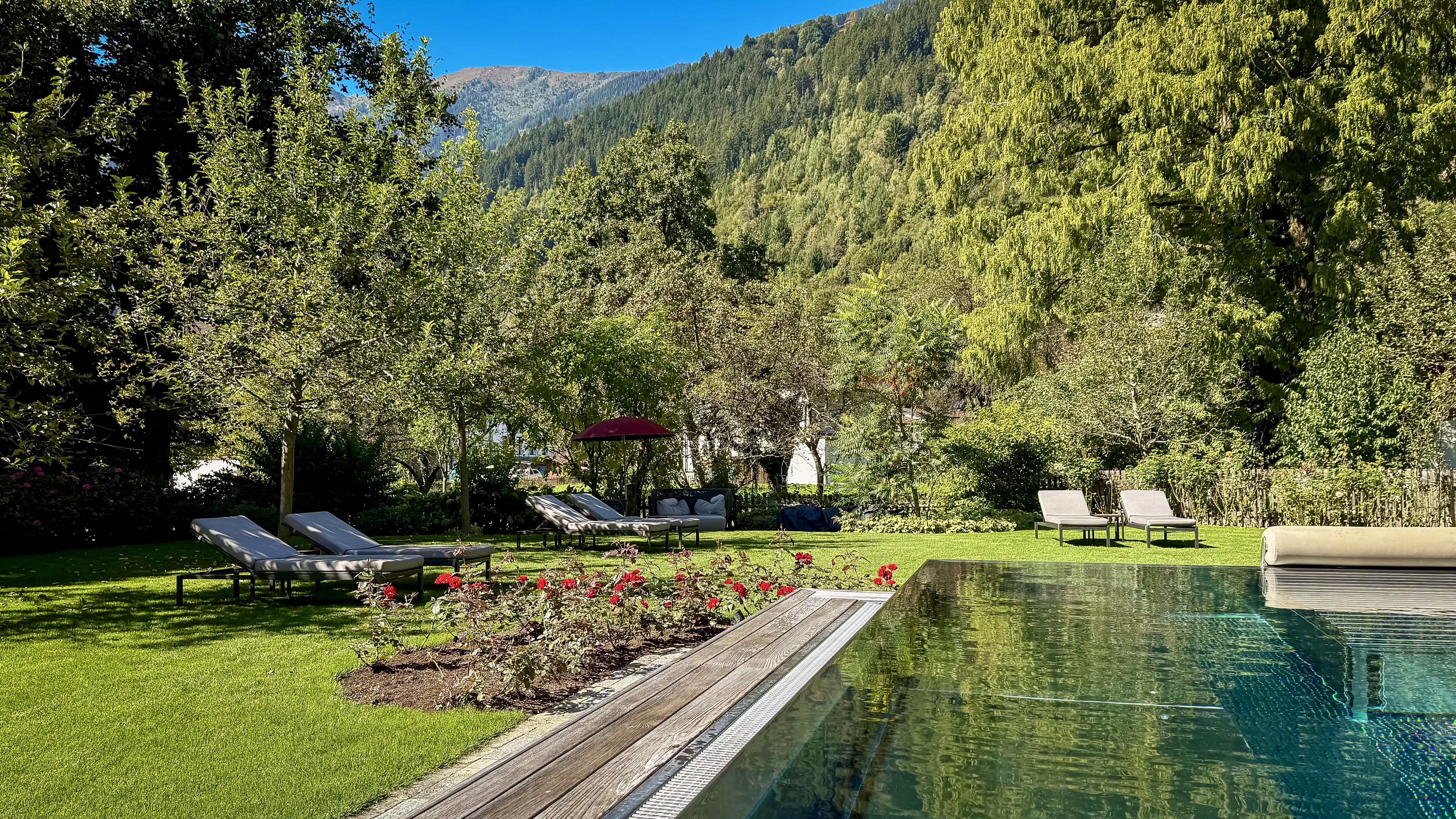 Outdoor pool beside green lawn with red flowering bushes, lounge chairs, and mountainous forest background under clear blue sky.