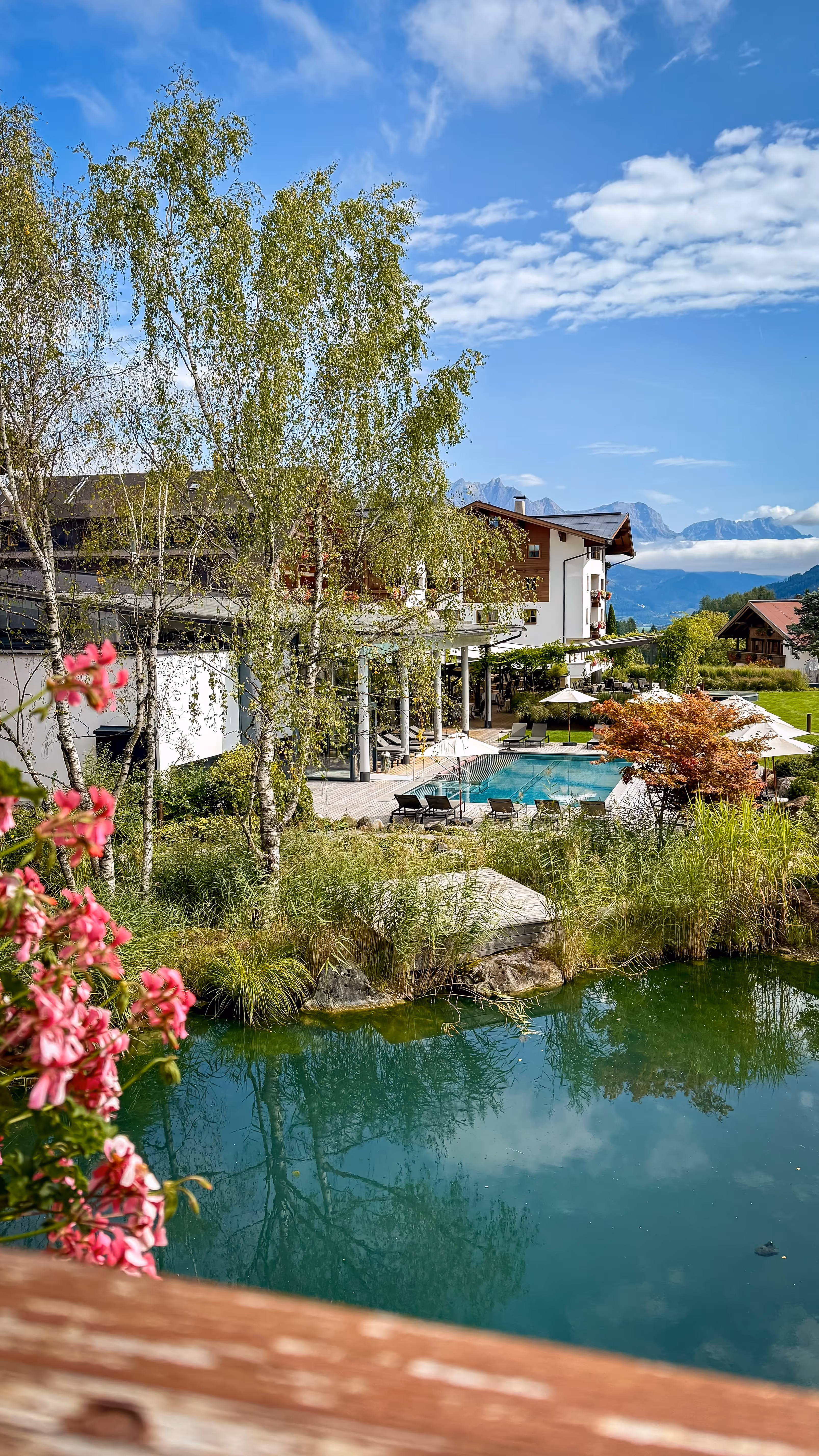 Scenic view of a poolside area with lounge chairs and umbrellas, surrounded by greenery, a pond, birch trees, and a mountain backdrop under a blue sky.