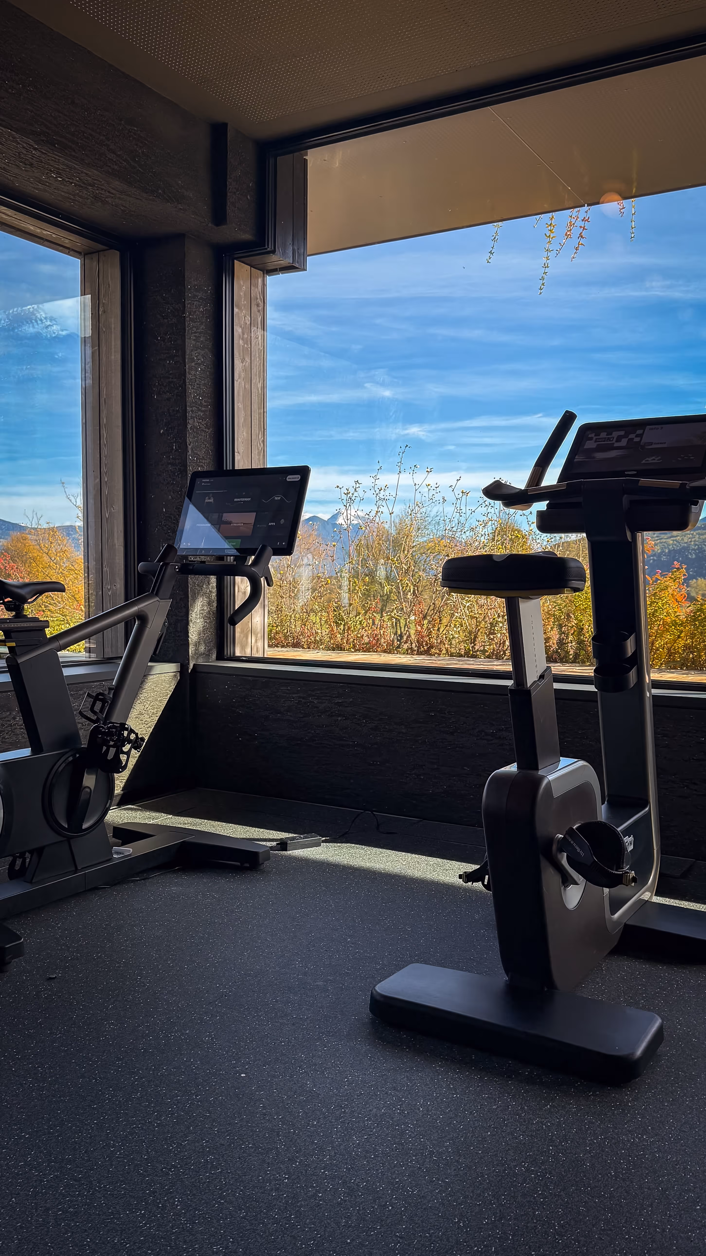 Indoor gym with two exercise bikes facing large windows showing a mountain and blue sky view.