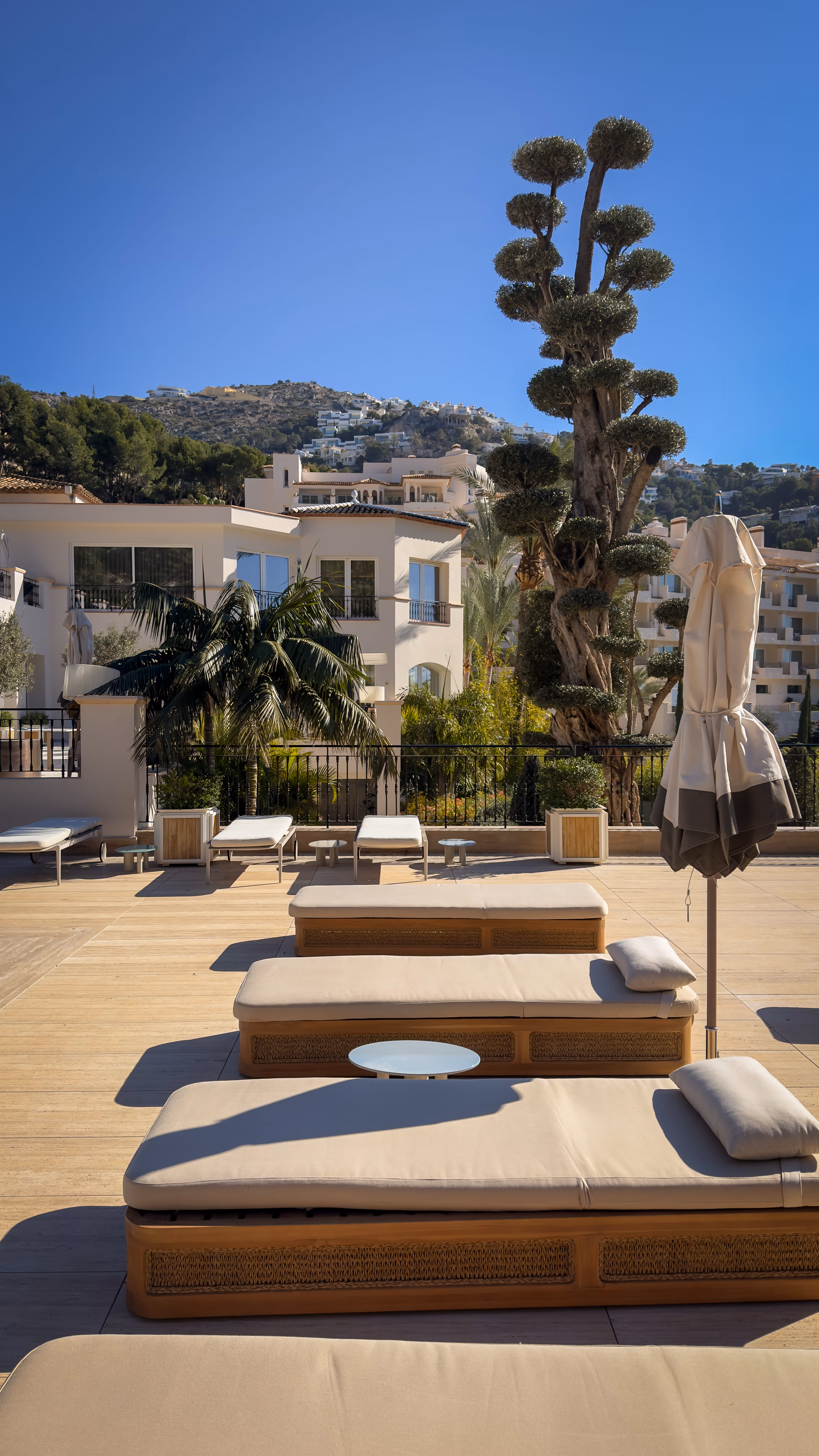 Clear natural pond with plants and a wooden cabin in the background, snow-capped mountains under a blue sky.