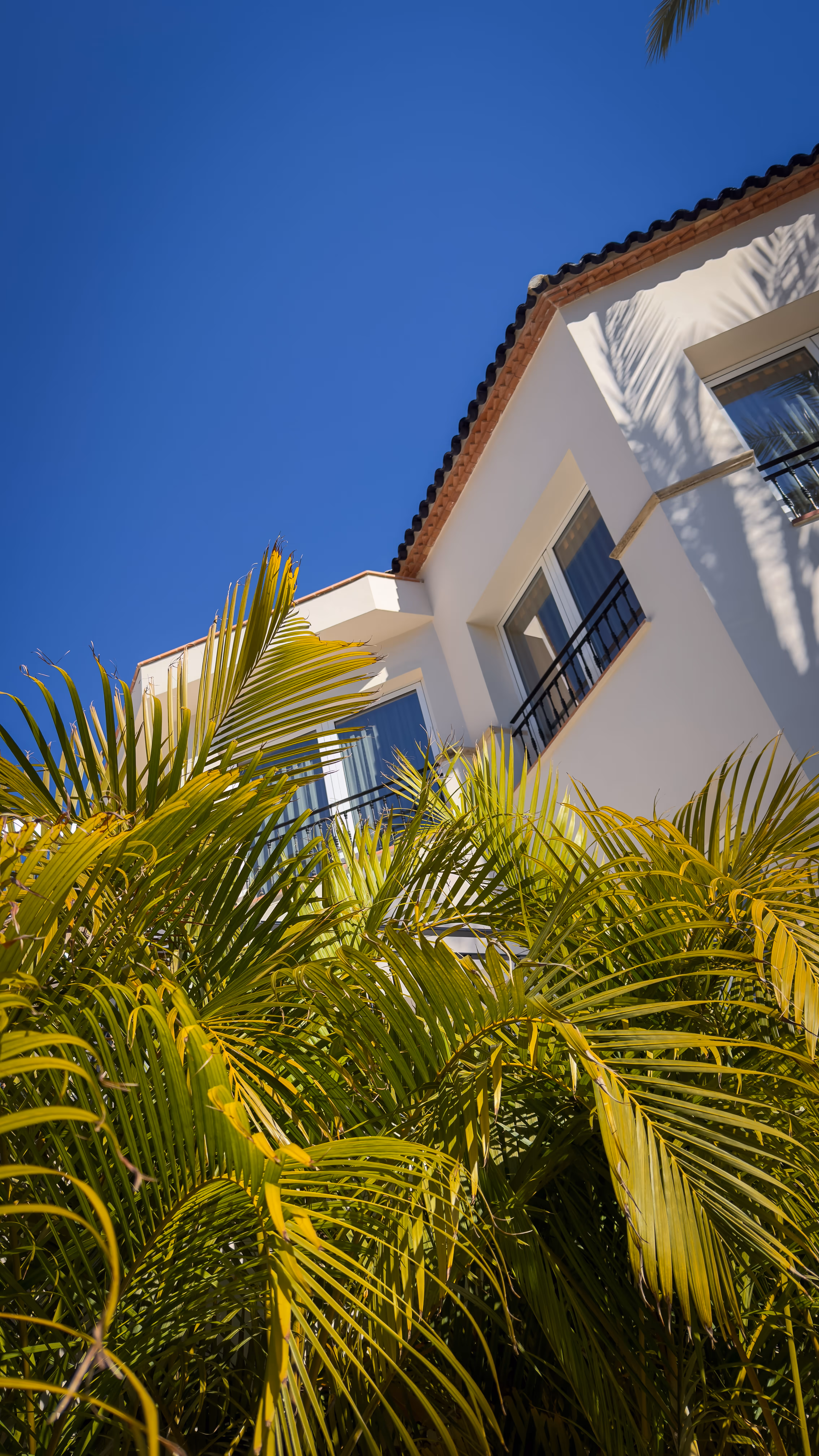 Sun loungers with beige cushions and a closed umbrella on a sunlit patio with palm and shaped trees, white buildings, and hillside homes under a clear blue sky.