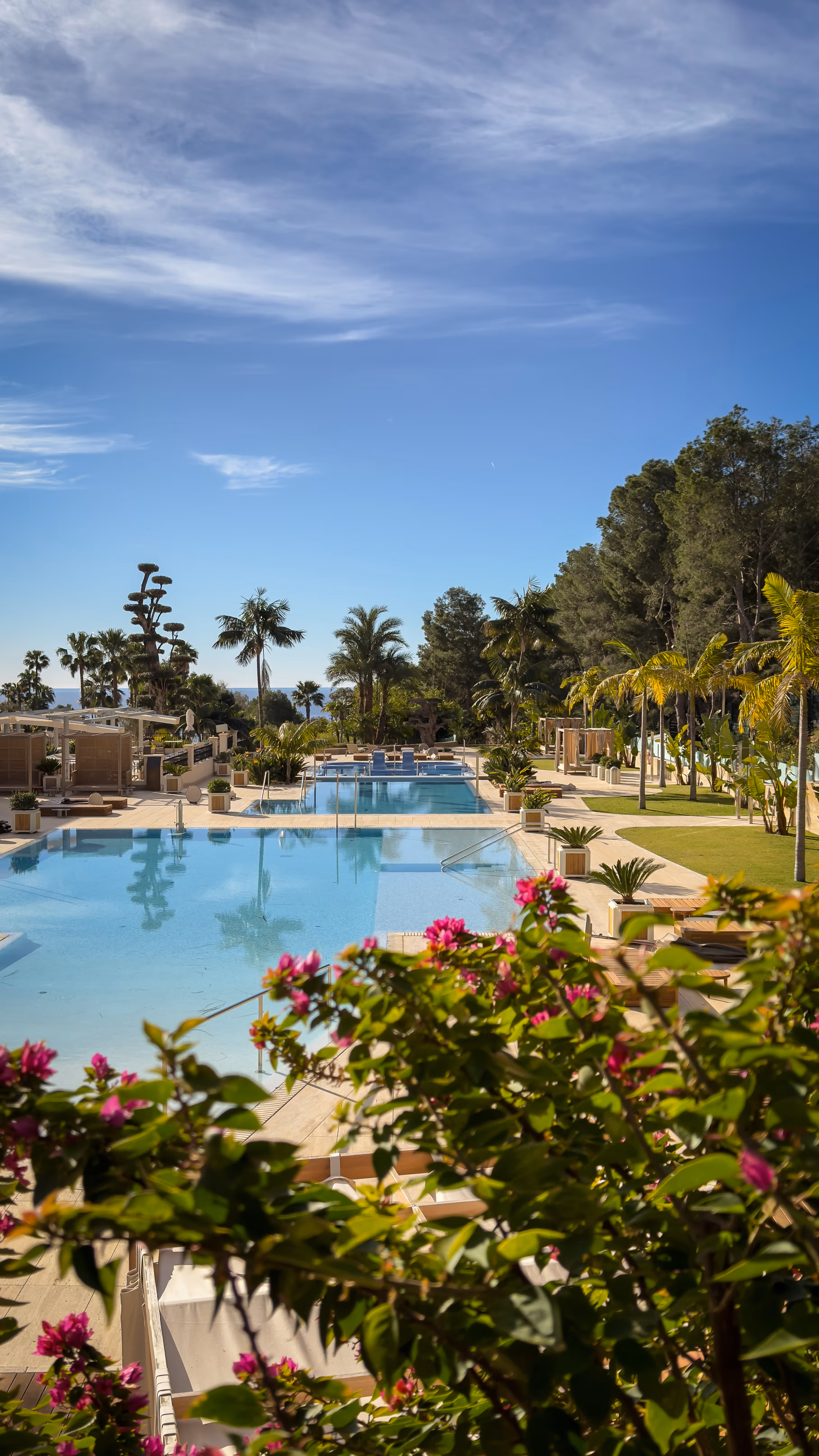 Sunny outdoor pool area with palm trees, lounge chairs, and pink flowers in the foreground under a blue sky.