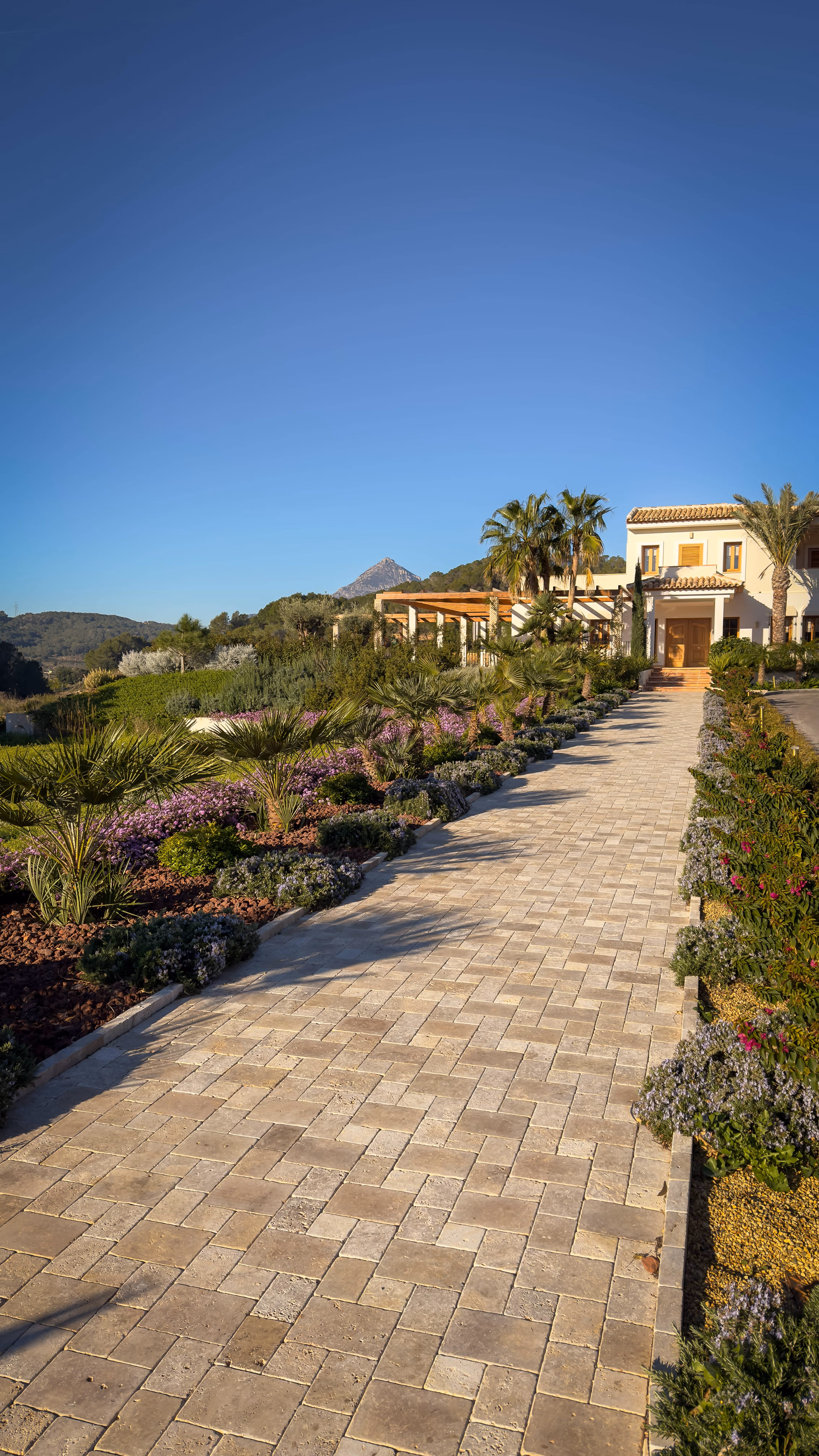 Paved driveway lined with palm trees and flowering bushes leading to a Mediterranean-style house under clear blue sky.