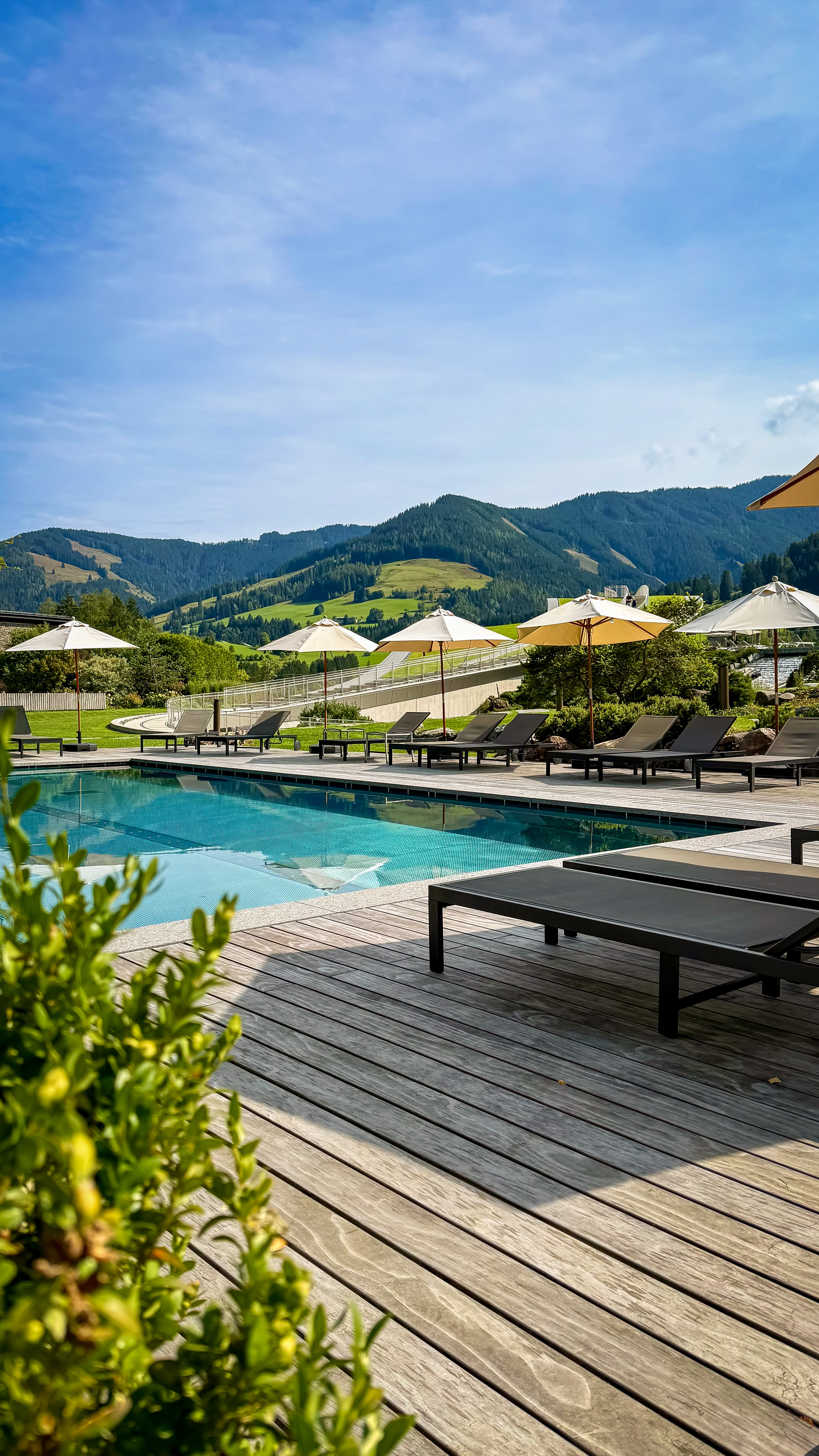 Clear natural pond with plants and a wooden cabin in the background, snow-capped mountains under a blue sky.