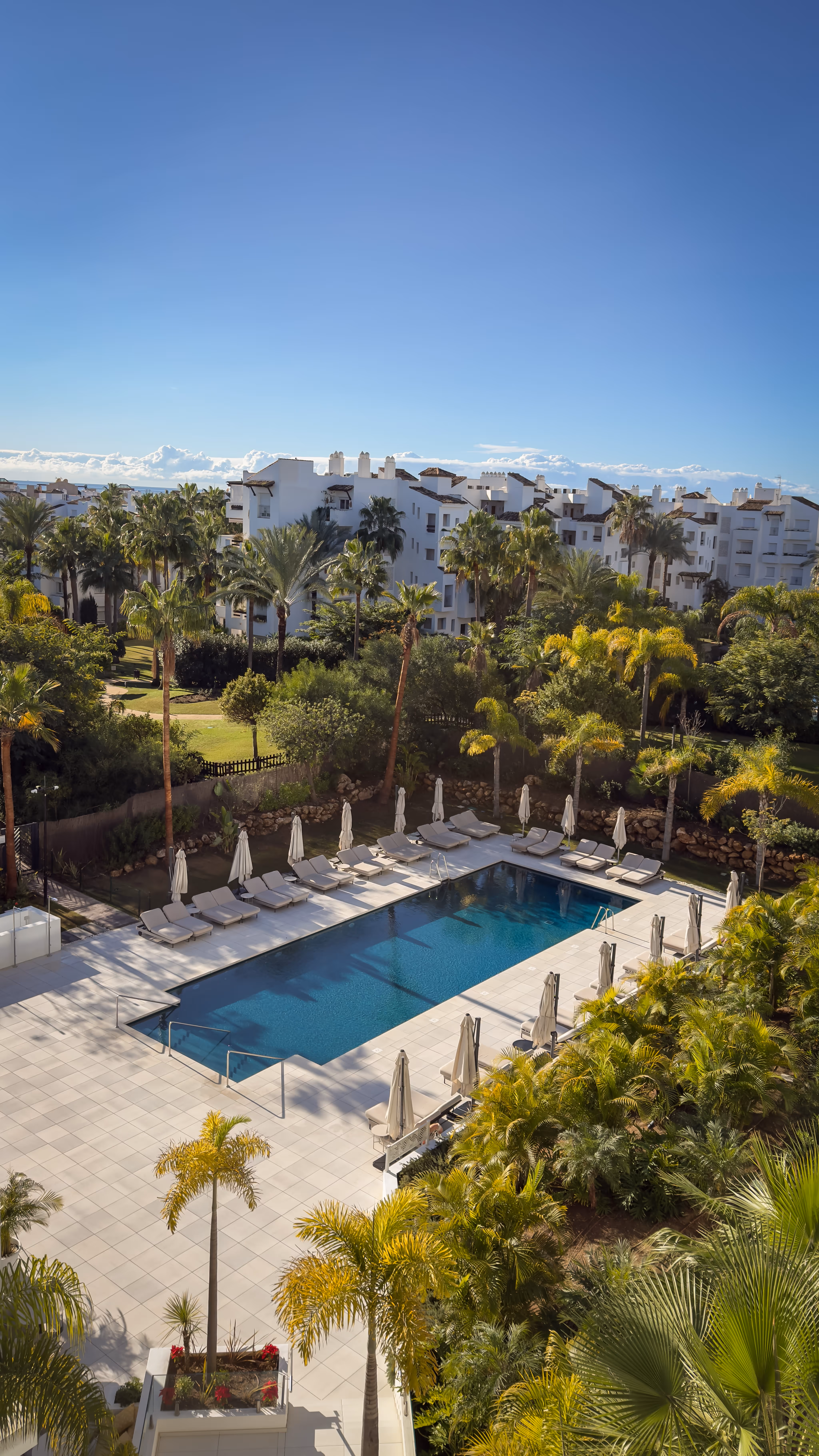 Outdoor rectangular swimming pool surrounded by white lounge chairs and closed umbrellas, with palm trees and white buildings in the background under a clear blue sky.