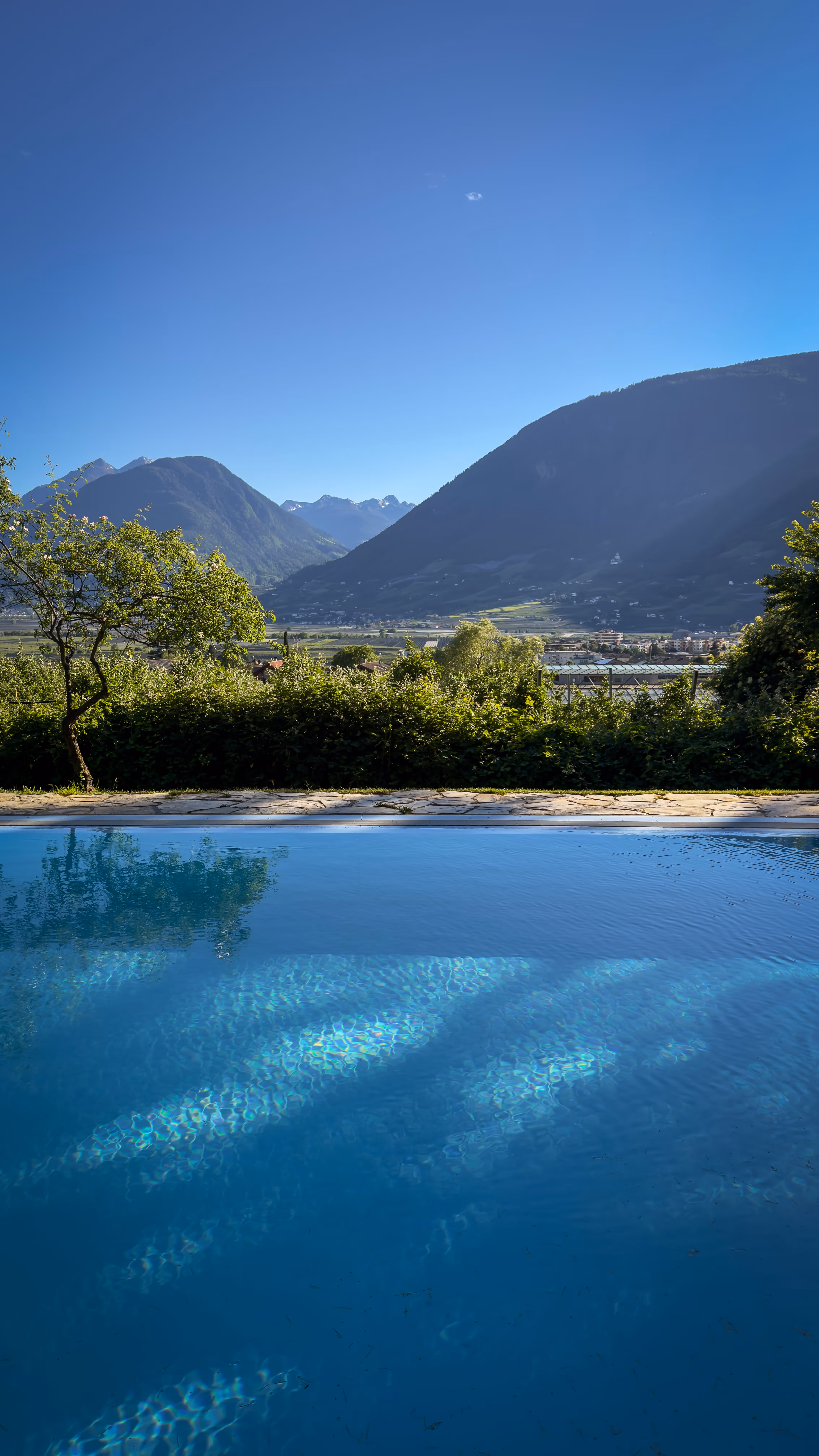 Clear blue pool with a tree, bushes, and mountains under a bright blue sky.