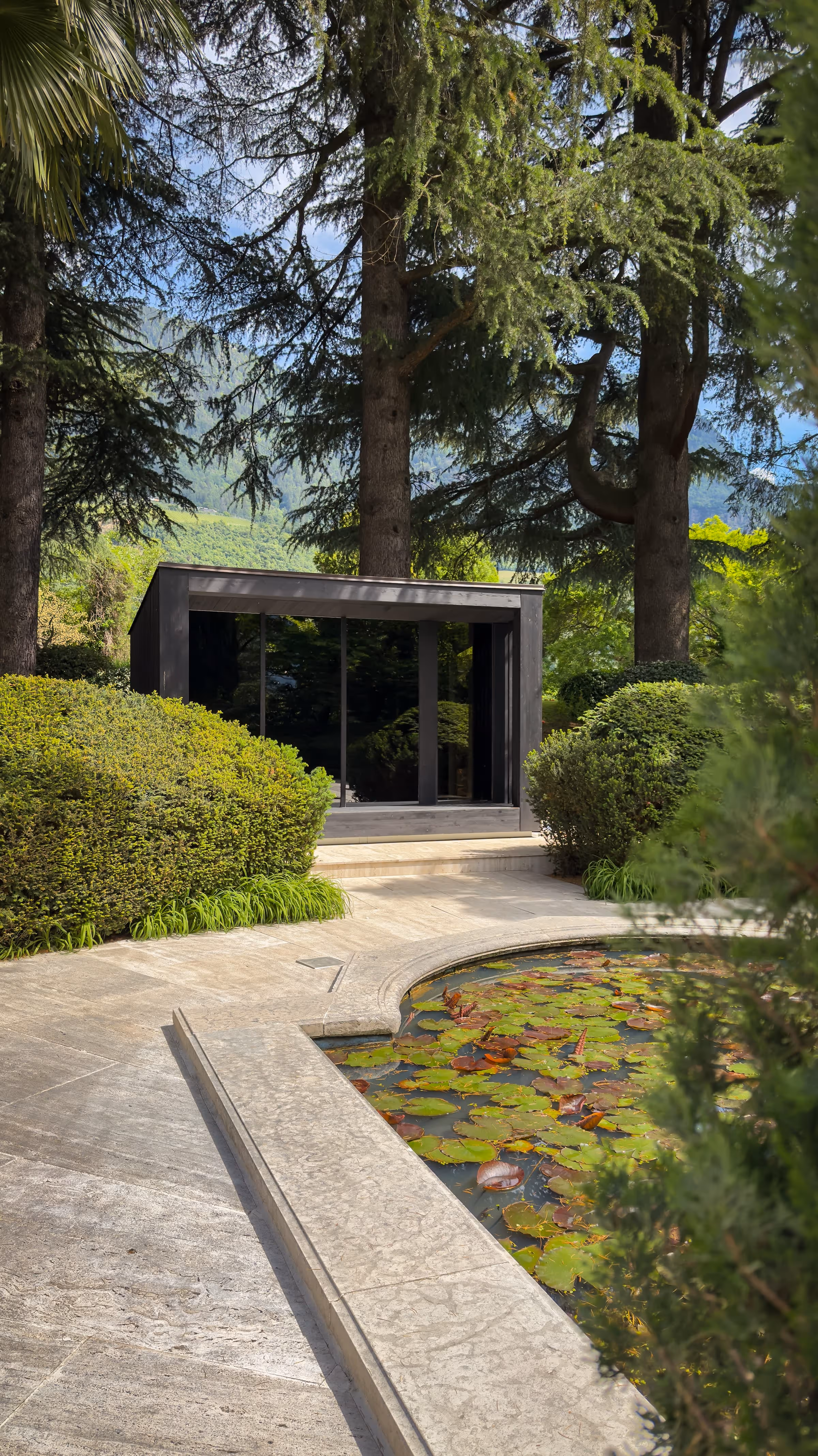 Black modern garden shed surrounded by green bushes, tall trees, and a lily pond in the foreground.