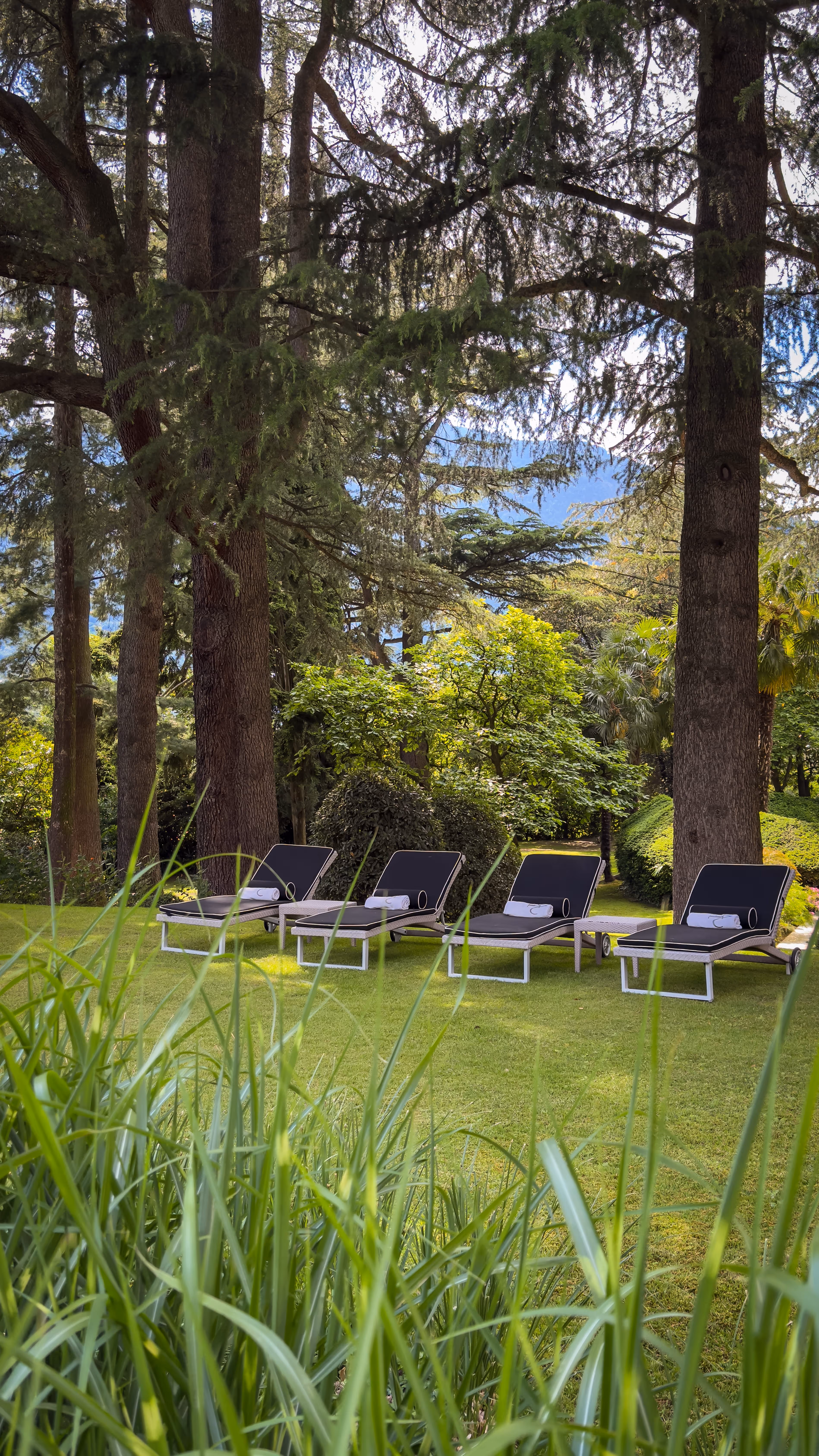 Four black lounge chairs with towels on green grass surrounded by tall trees and bushes.