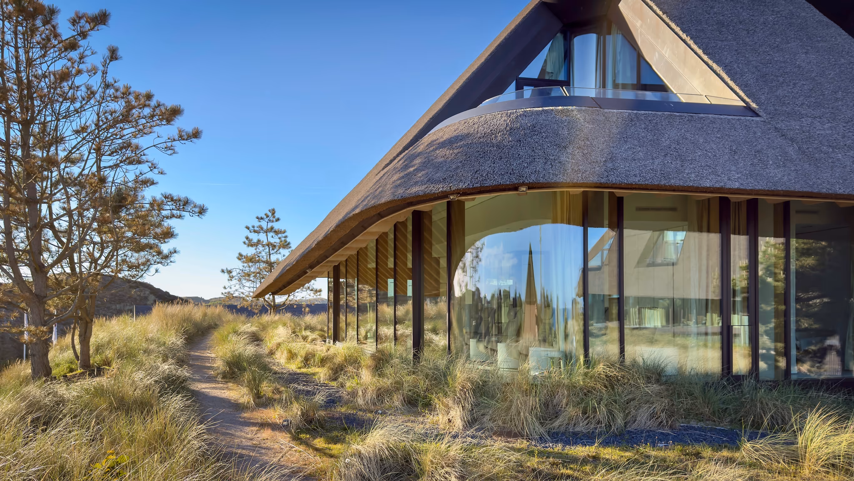 Modern house with curved thatched roof and large glass windows beside a grassy dirt path and pine trees.