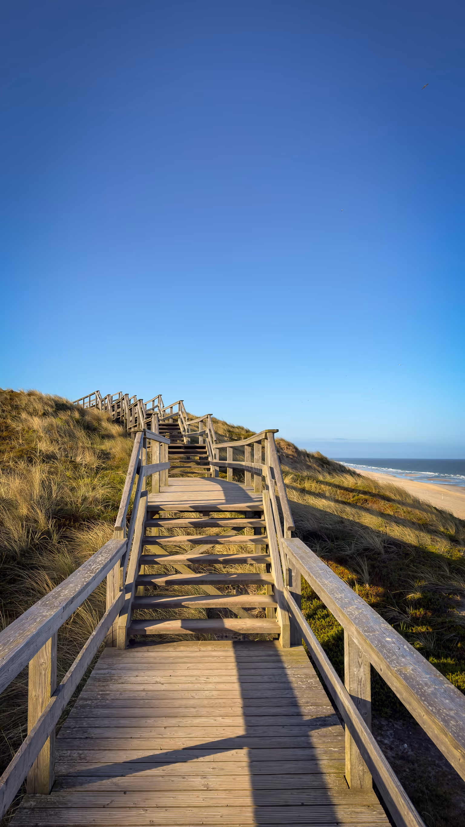 Wooden staircase over sand dunes leading toward a beach under a clear blue sky.
