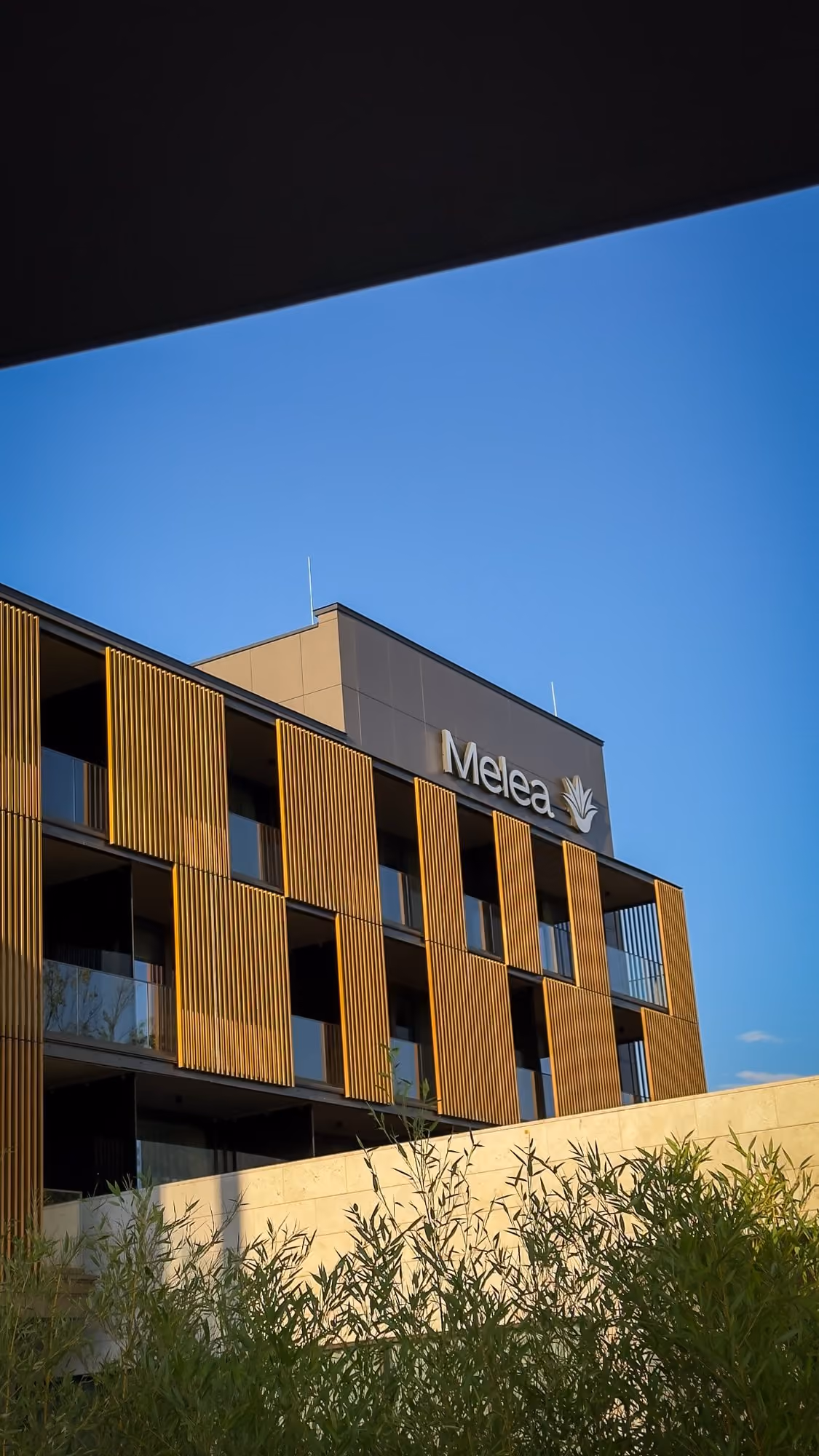 Modern building facade with wooden vertical slats, glass balconies, and Melea sign under blue sky.