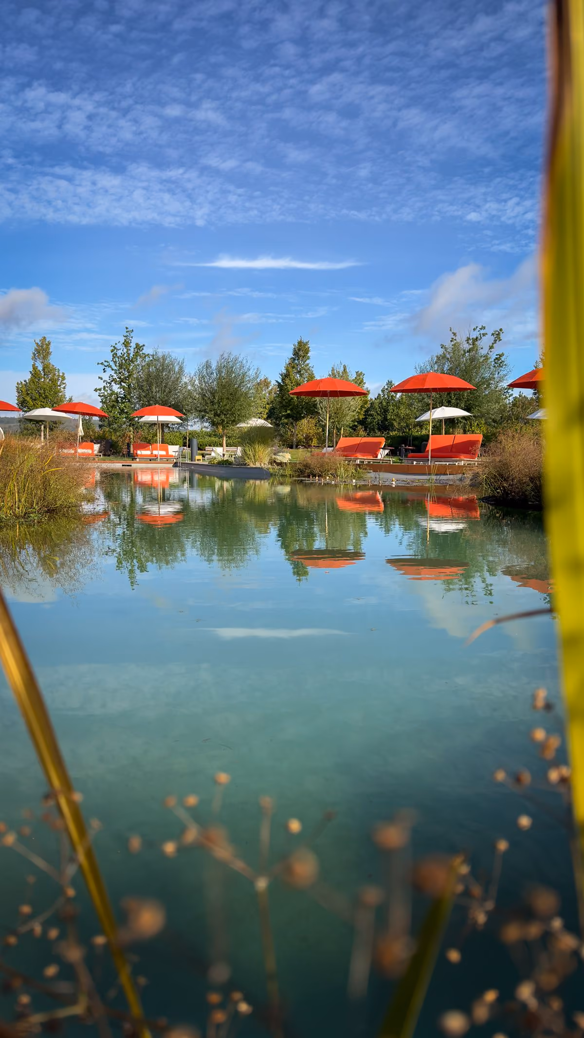 Clear natural swimming pond with lounge chairs and wooden decks, mountains and blue sky in the background.