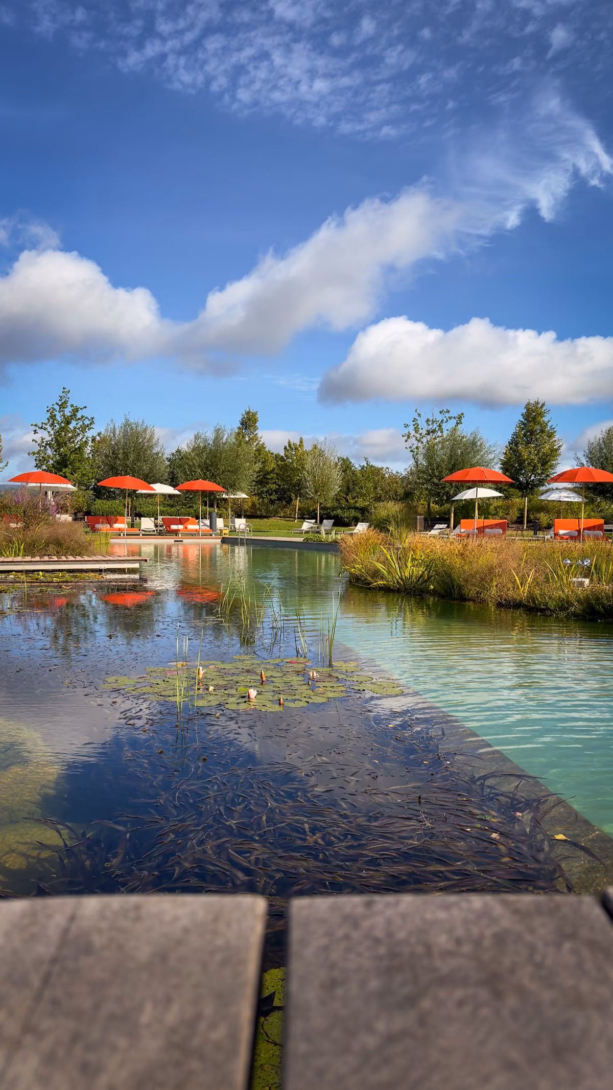 Serene outdoor pool surrounded by green trees and plants with orange umbrellas and lounge chairs under a partly cloudy blue sky.