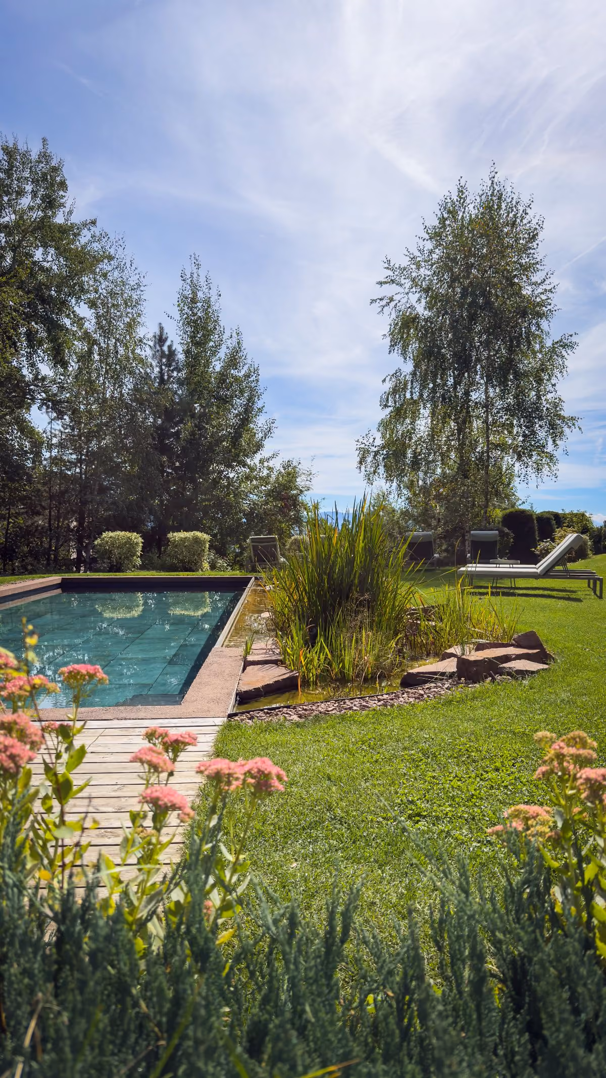 Outdoor scene with a rectangular swimming pool on the left, surrounded by green grass and plants, including flowers in the foreground and tall trees in the background, under a blue sky with wispy clouds and lounge chairs on the right side near the pool.