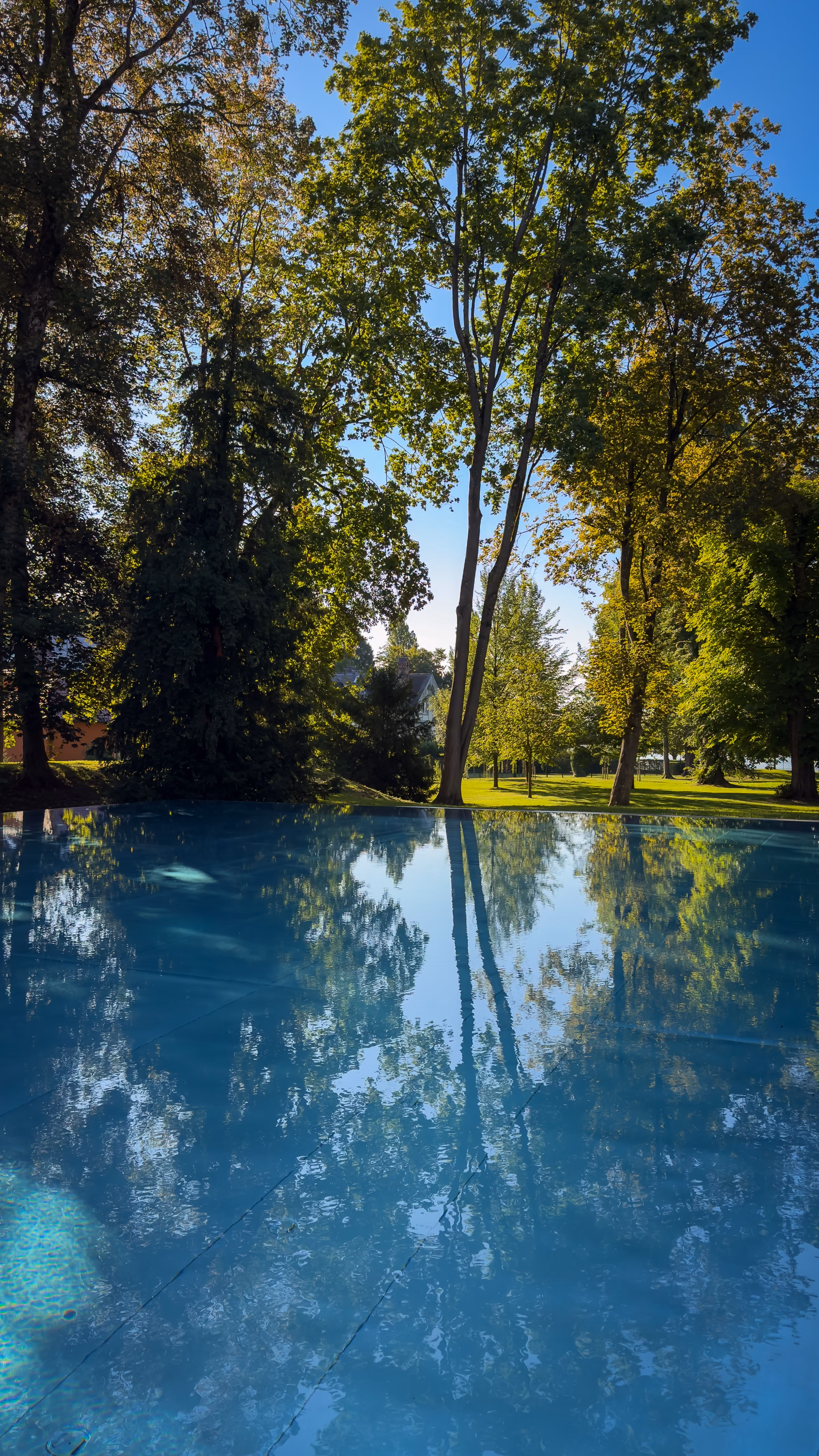 Clear outdoor swimming pool reflecting surrounding green trees under a blue sky with lounge chairs lined up on the right side.