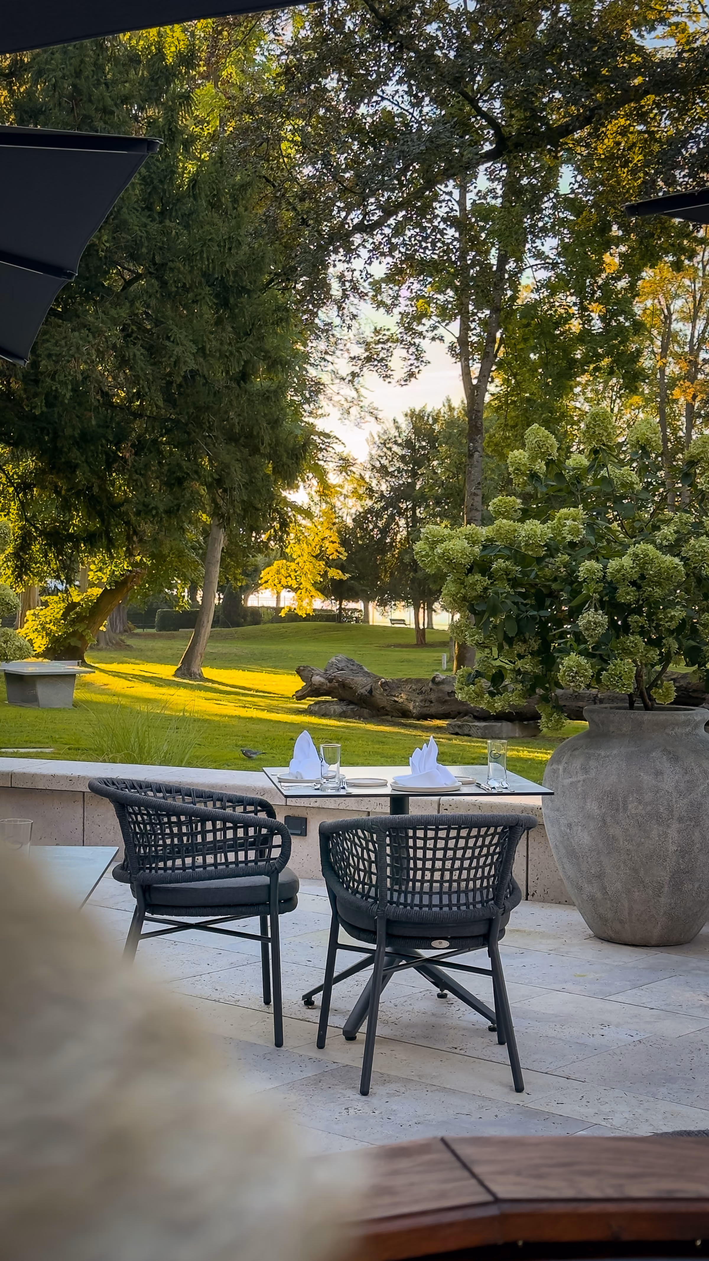 Outdoor dining setup with two woven black chairs and a table set with glasses and folded napkins, overlooking a green park area with large trees and a stone bench in the background during daytime.