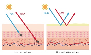 Illustration som demonstrerar solkrämens skydd mot UVA- och UVB-strålar.