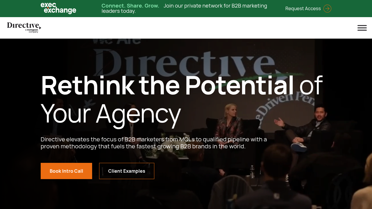 Screenshot of https://directiveconsulting.com