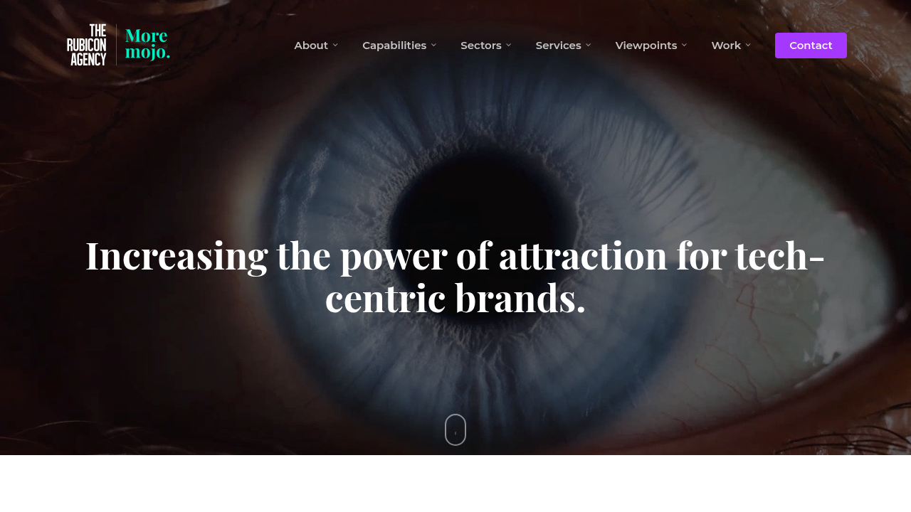 Screenshot of https://therubiconagency.com