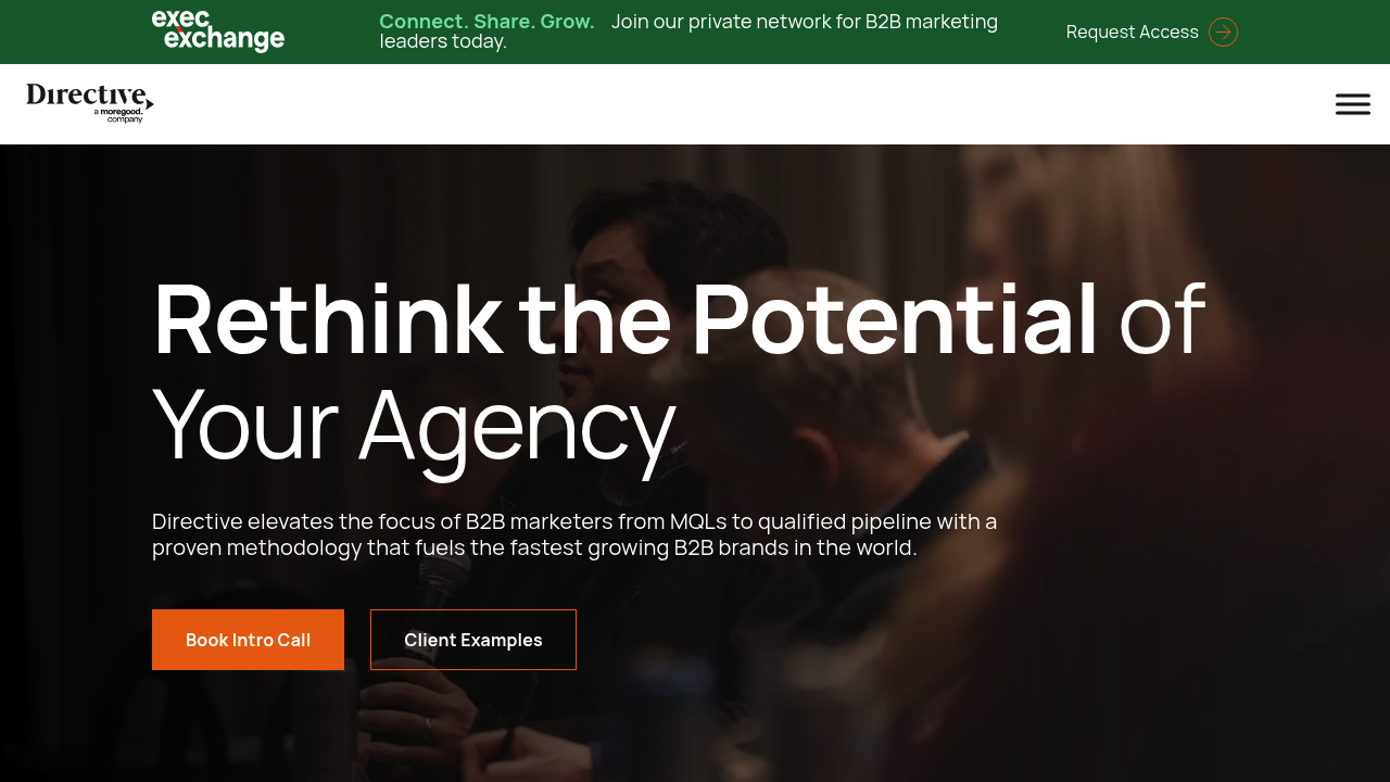 Screenshot of https://directiveconsulting.com