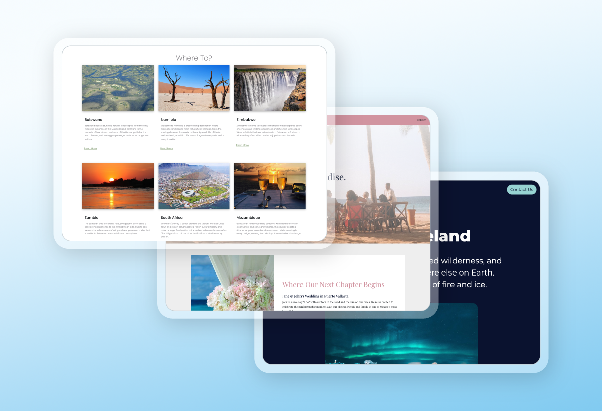 Professional travel website