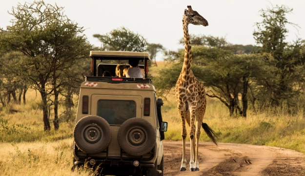 Built for destination management companies