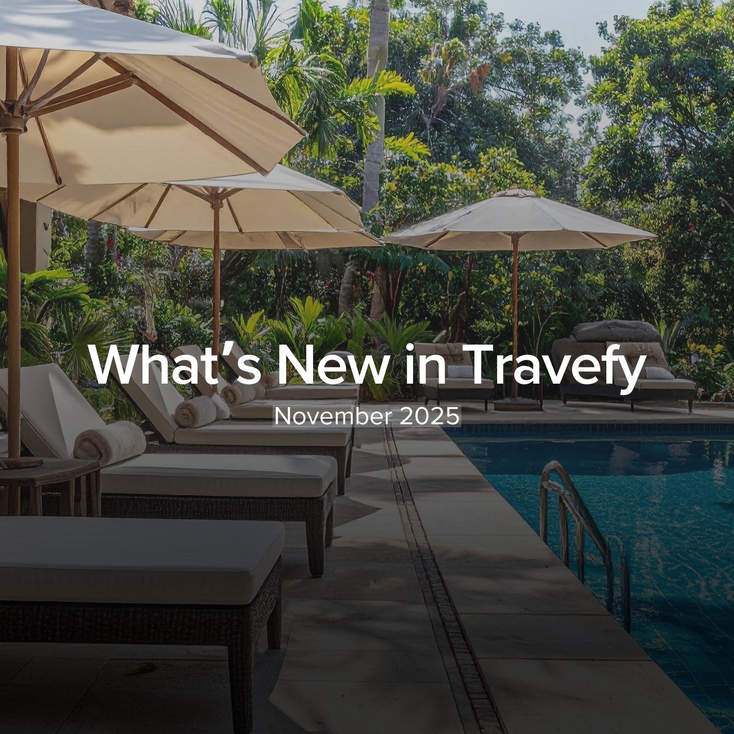 What's New: What we launched in November 2025