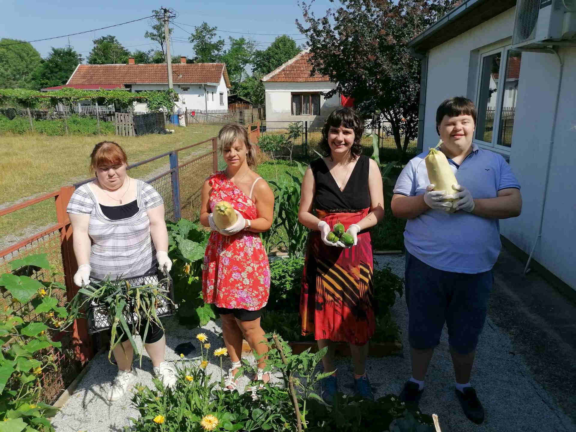 Радионице домаћинства