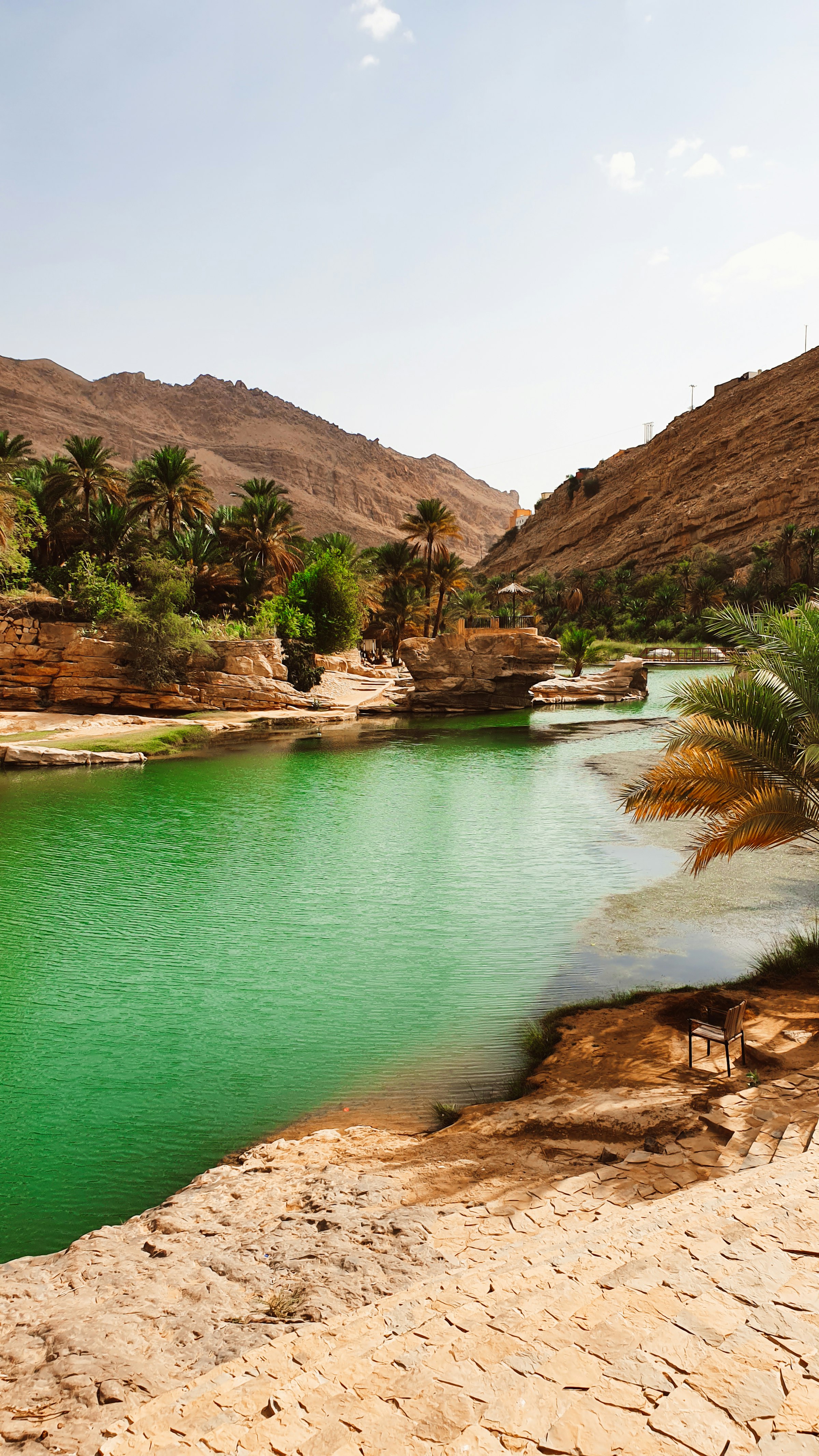 A calm oasis surrounded by mountains and palm trees in Oman