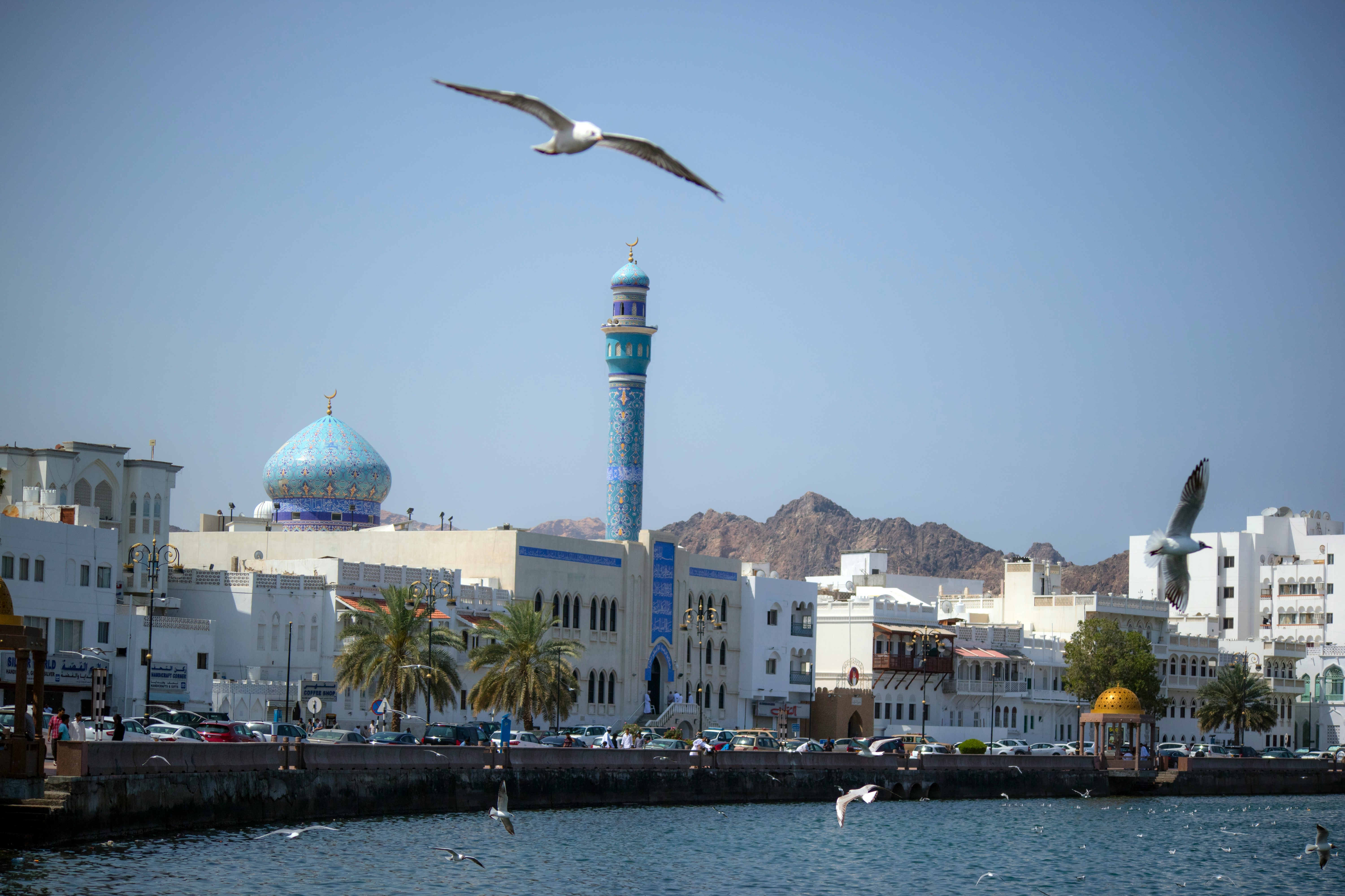 Seagulls flying above turquoise coastal waters with Muscat's white-domed buildings in the background