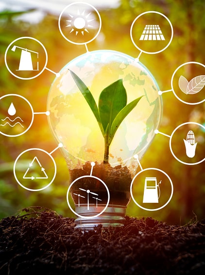 Lightbulb with a plant inside it shining with sustainable energy options showing | Salty Electrical services in the Greater Wellington Region