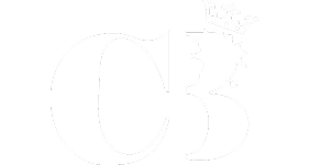 The Paak logo