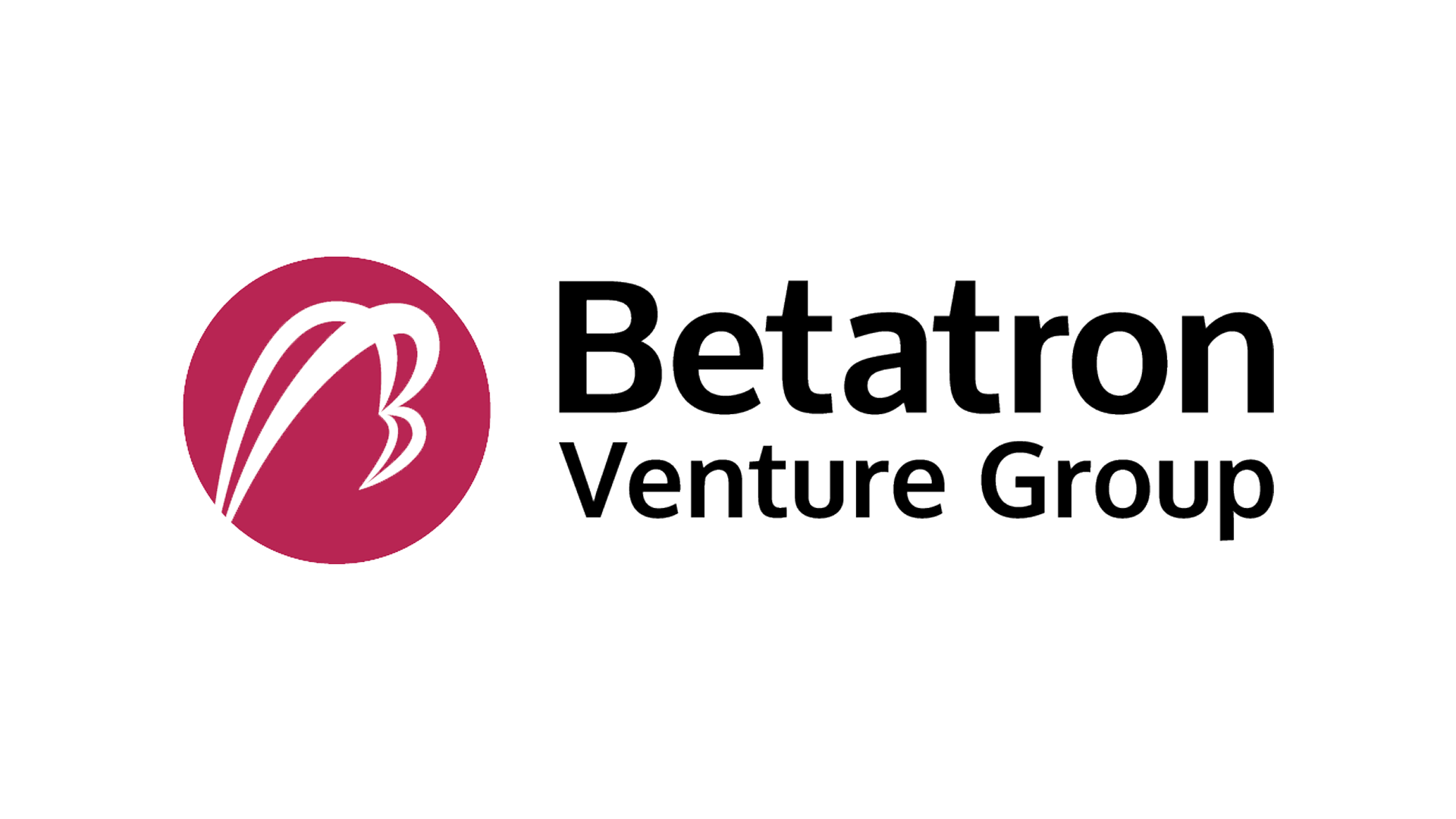 Betatron Venture Group