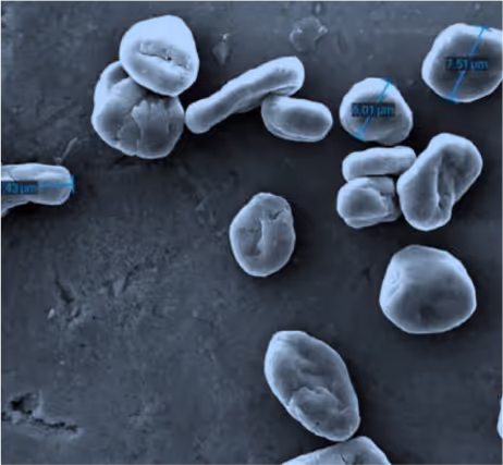 Spheroidised graphite 