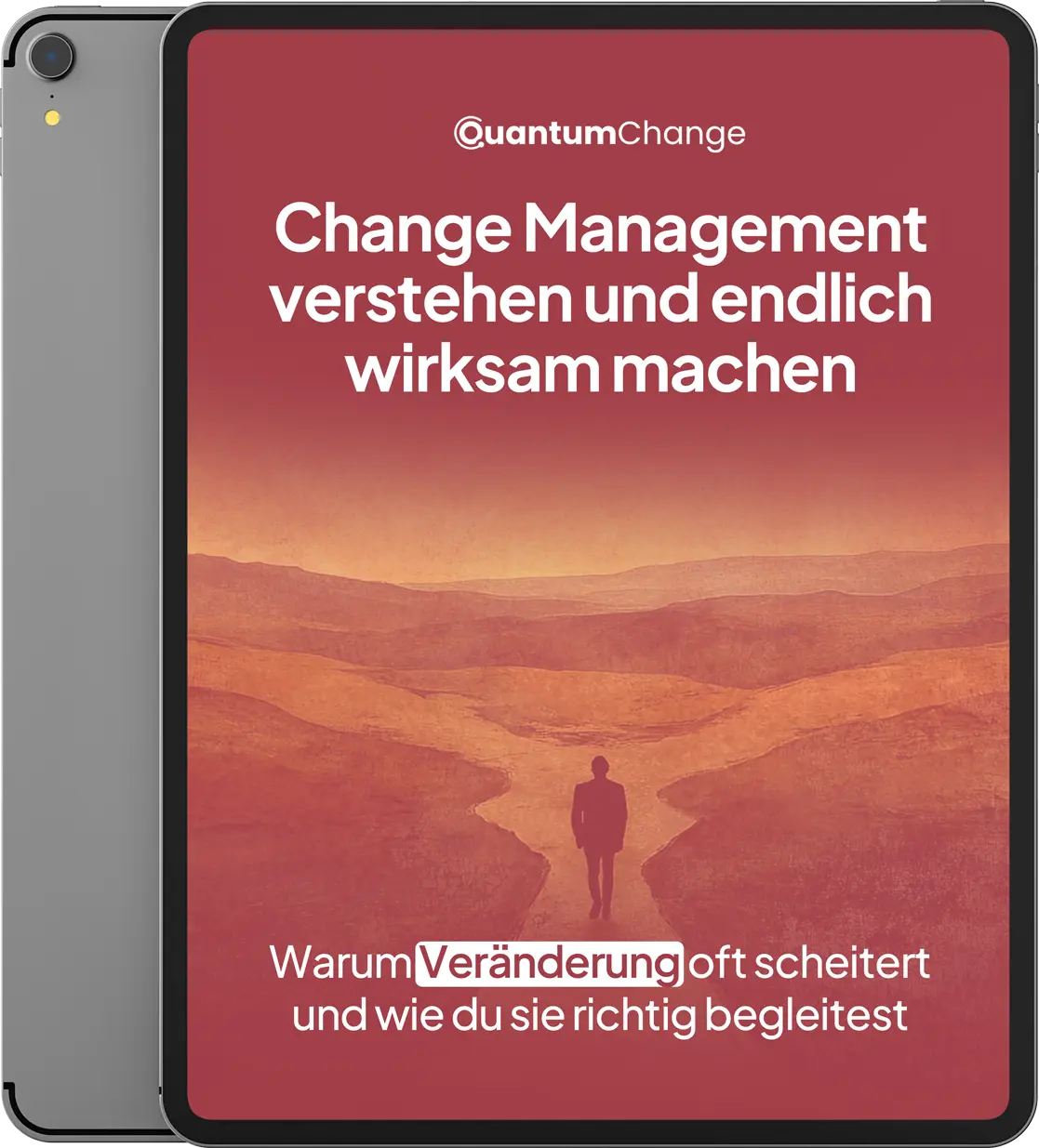 Quantum Change Executive Guide PDF