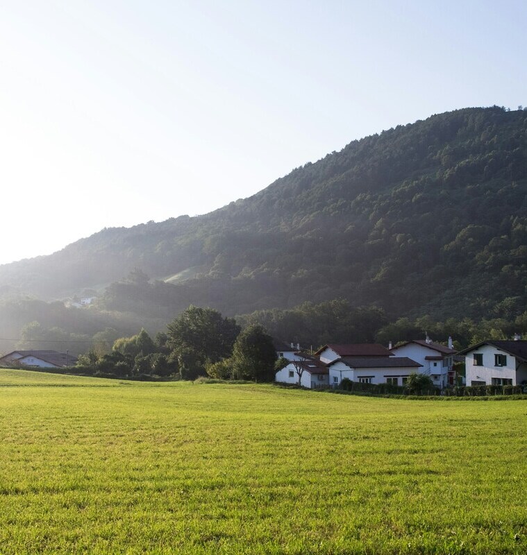Grundbesitz verständlich erklärt: Definition, Bedeutung und Möglichkeiten