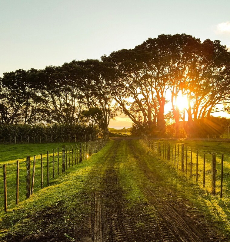 Bodenrichtwert richtig analysieren 