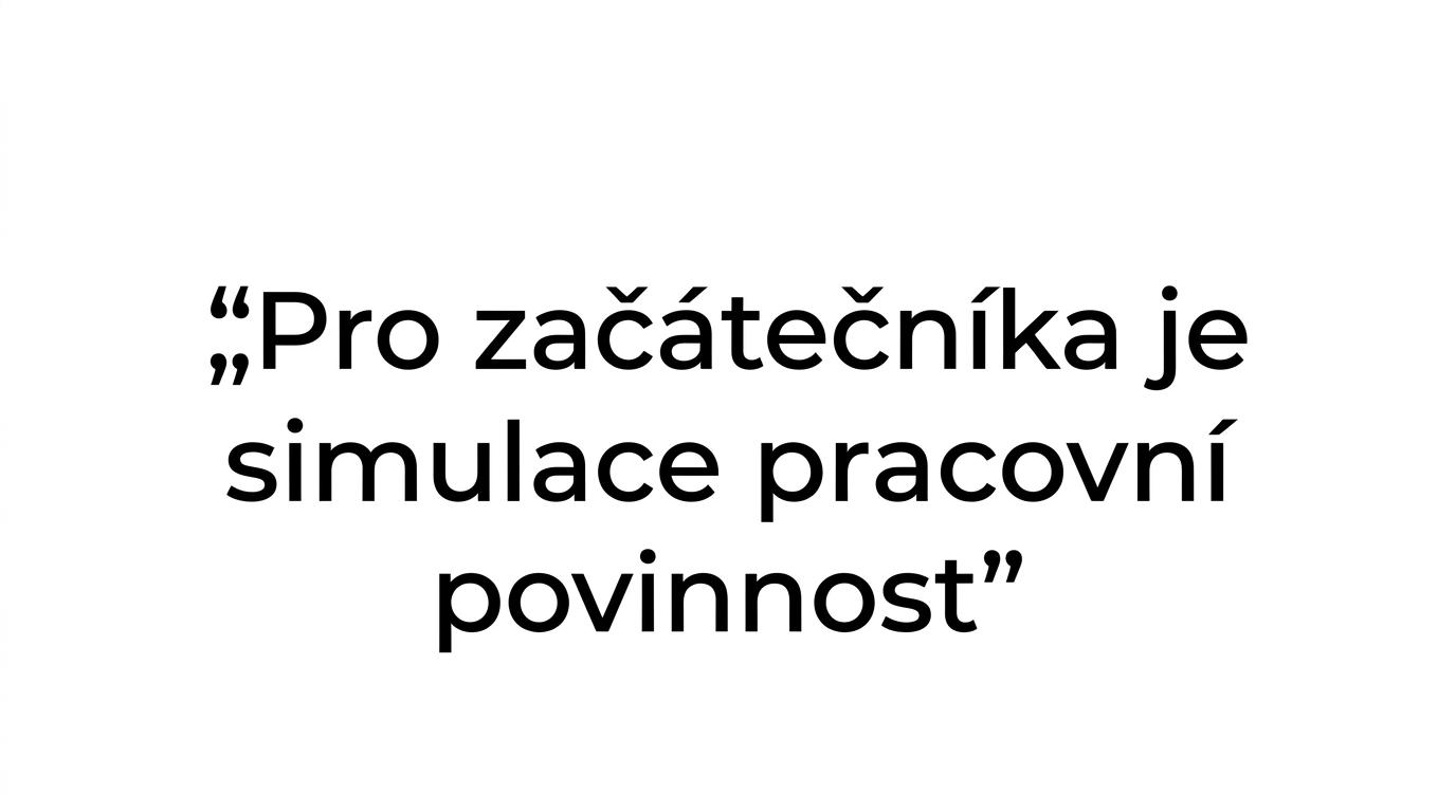 Zvýrazněný citát o tom, že simulace je pro začátečníka pracovní povinnost.