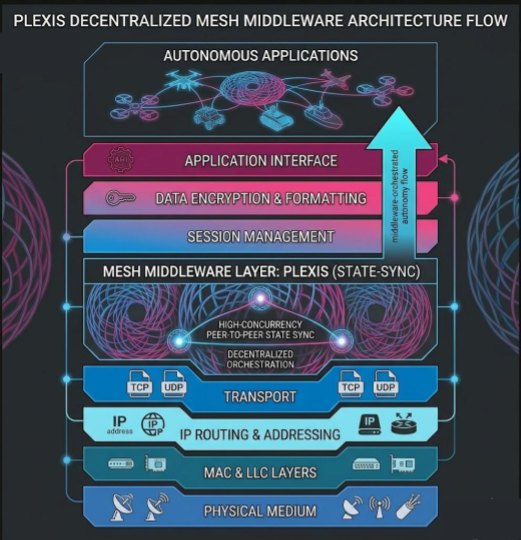 The technical position of PLEXIS