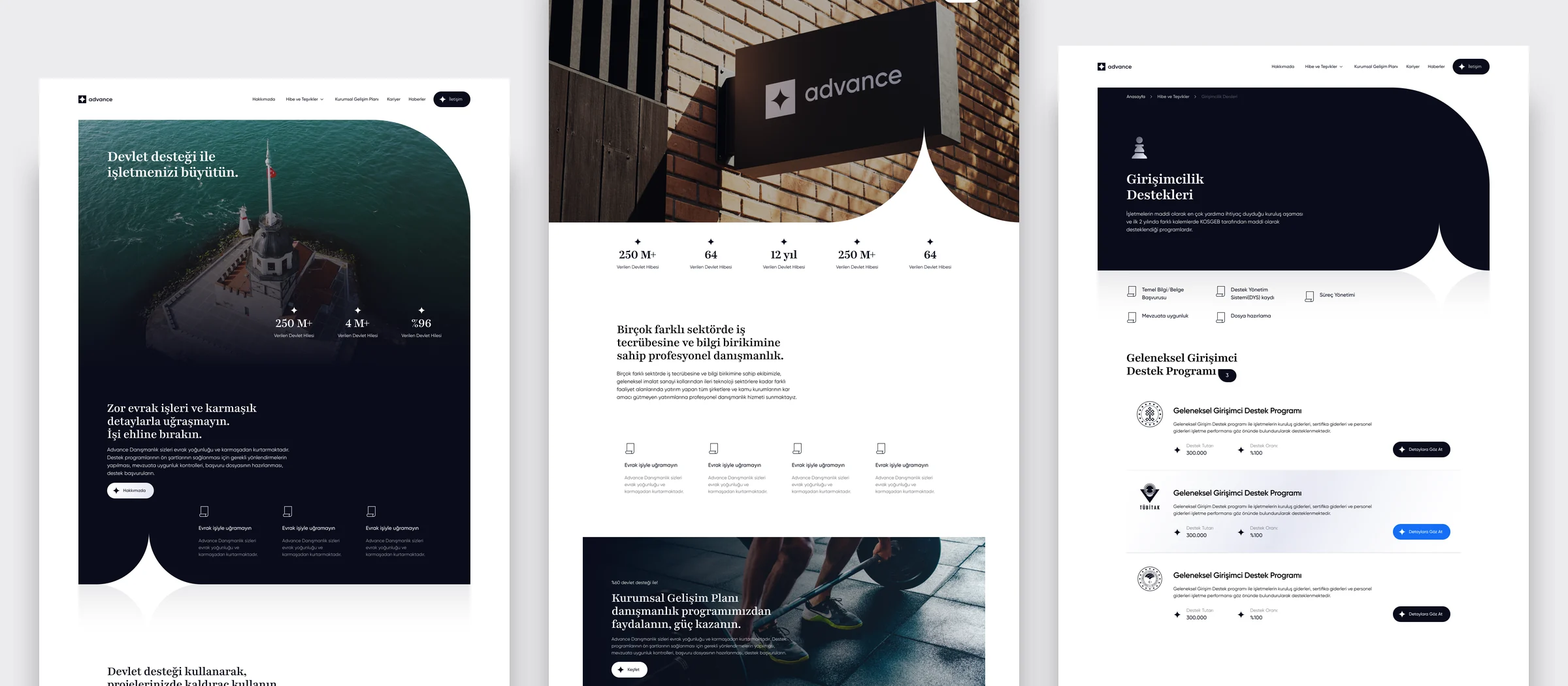Advance website pages: homepage, about and support programme detail