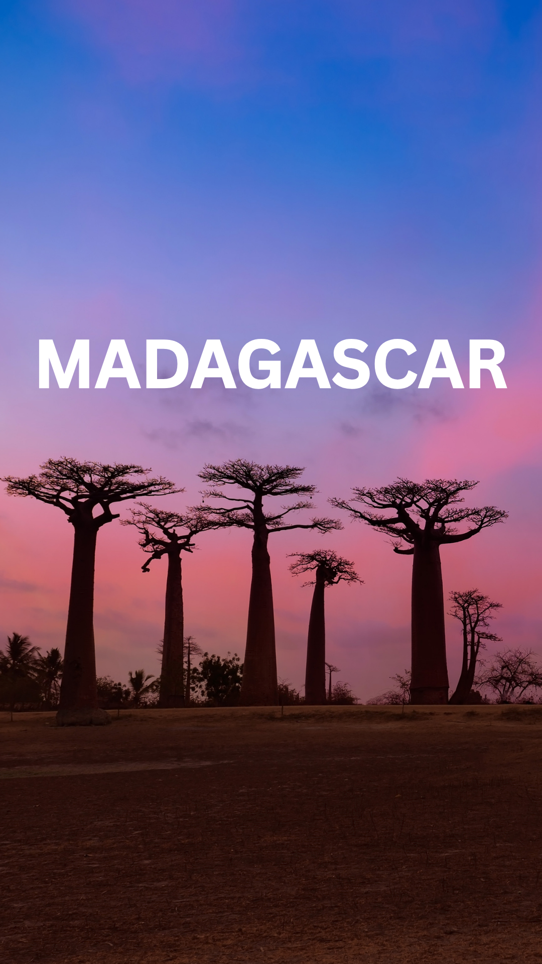 Sobha Luxury Properties Showcase Madagascar February 2026 - High Net Worth Investor Event