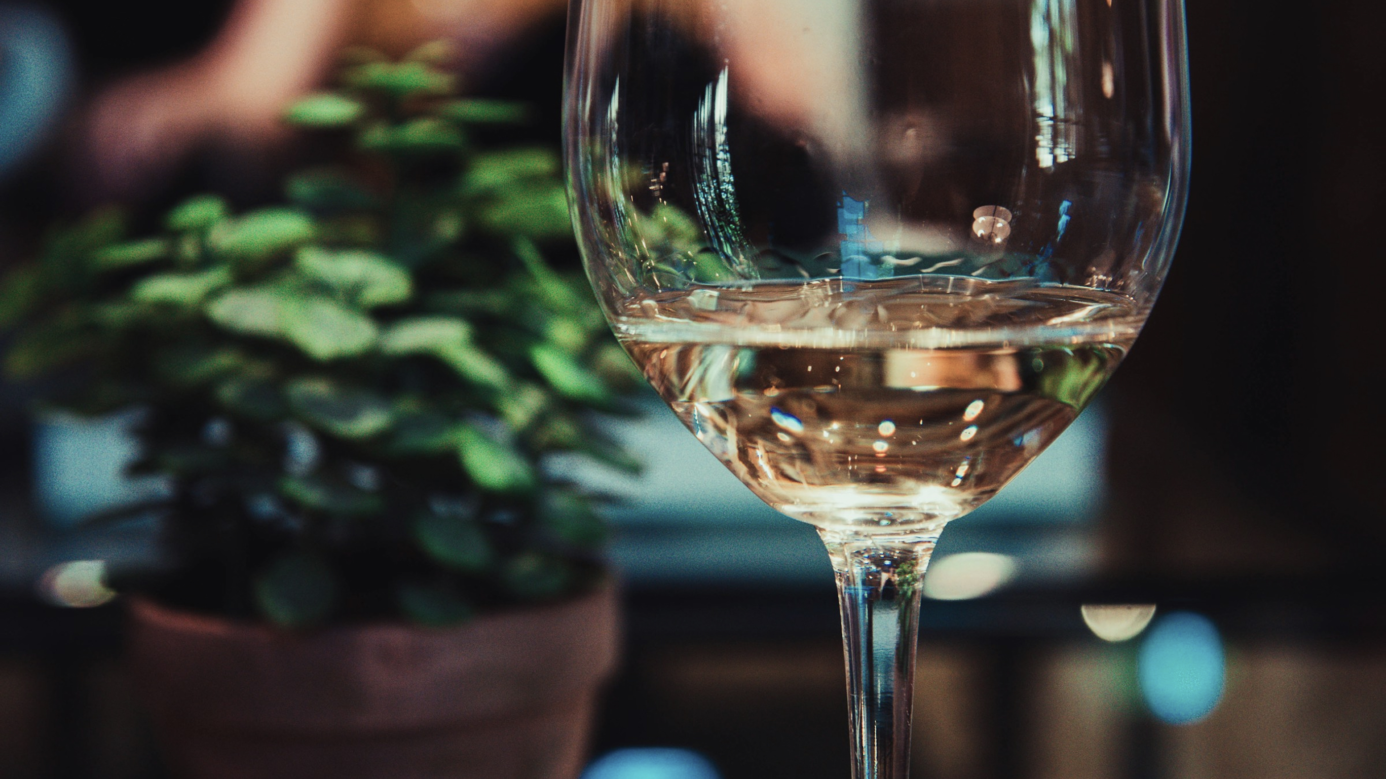 How can we democratize the wine industry and engage the younger generation?