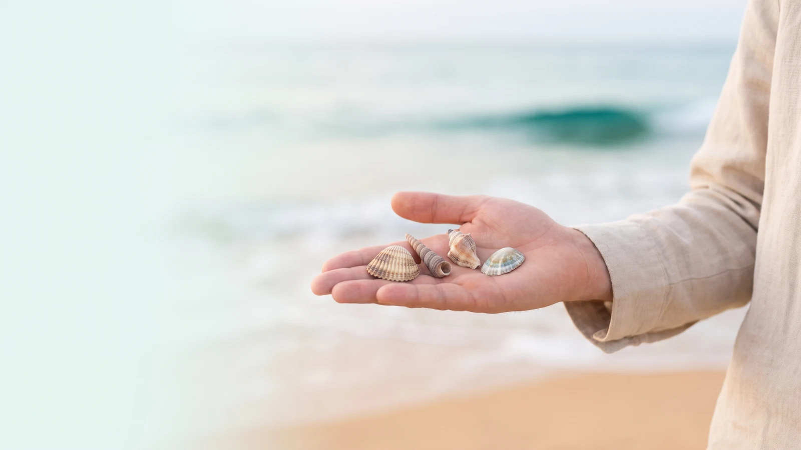 Open palm holding four small seashells on a beach, the sea and sand blurred softly behind