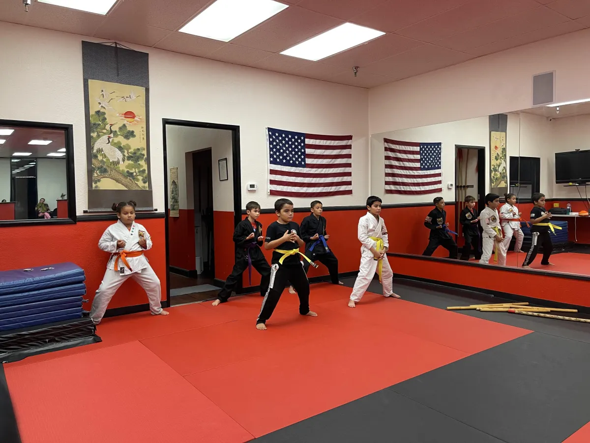Imagery of the dojo and students practicing inside