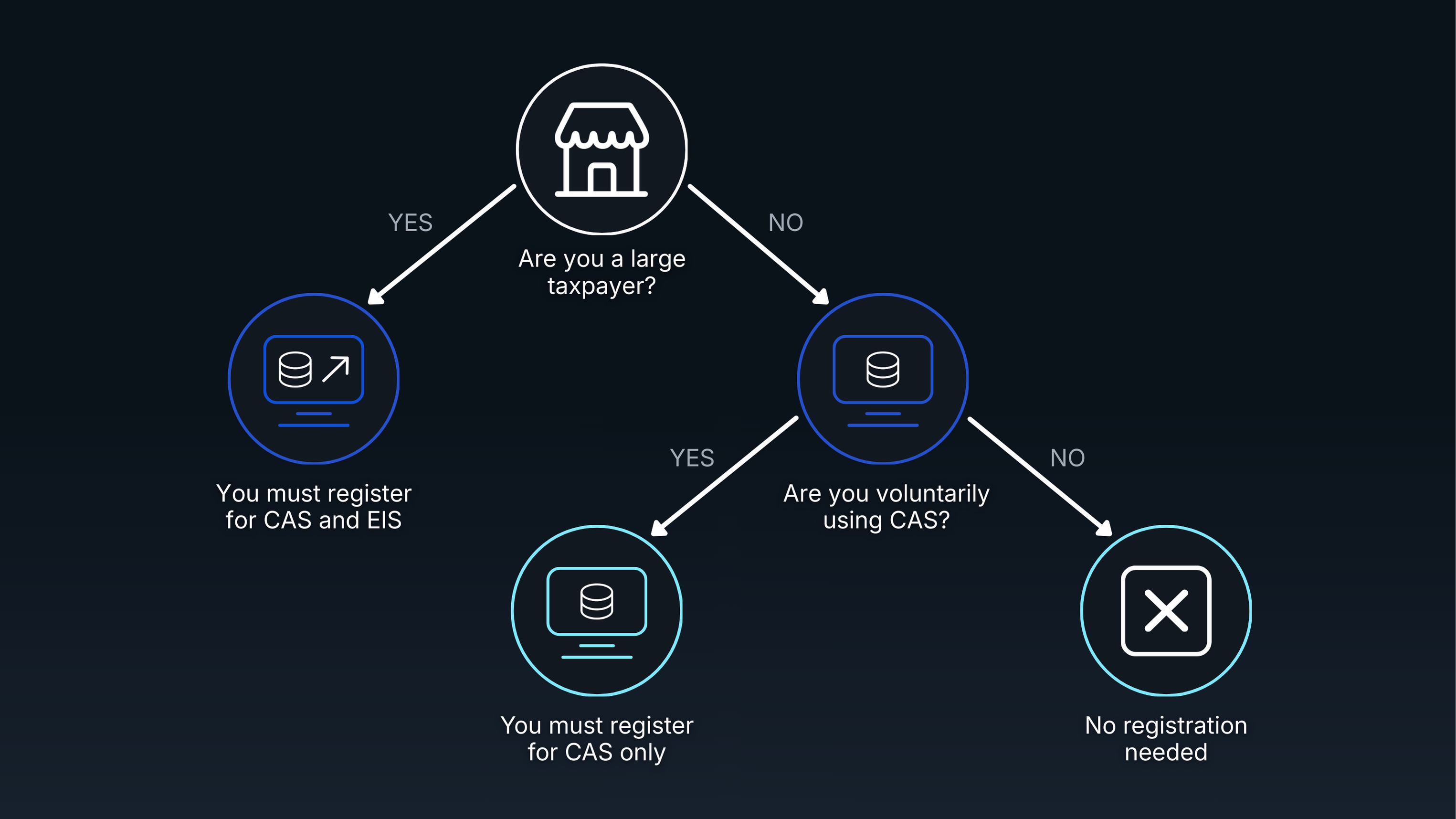 Graphic showing business categories required to use CAS and E-Invoicing under BIR rules in the Philippines.
