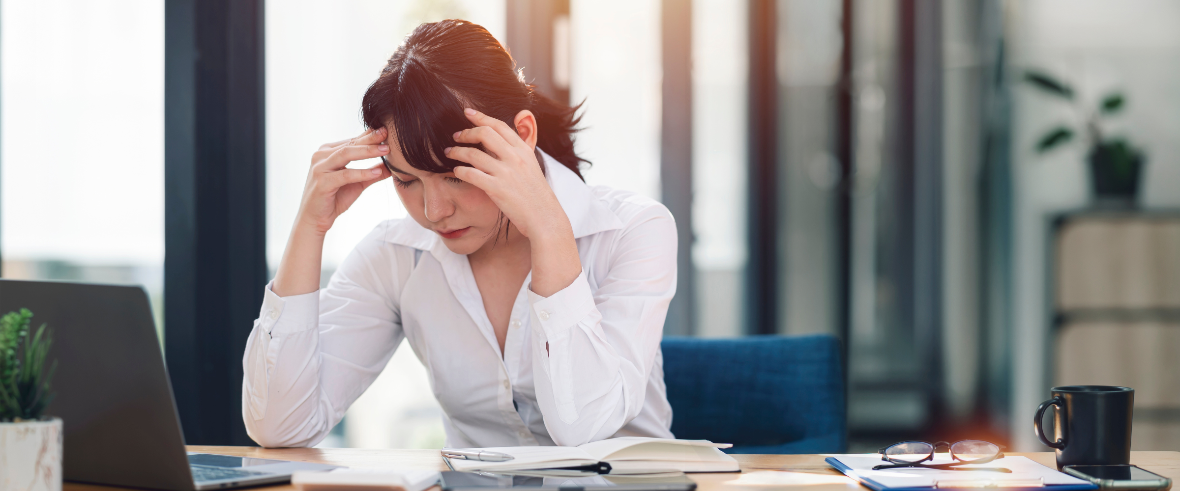 Issues and Errors With Using eBIRForms Offline